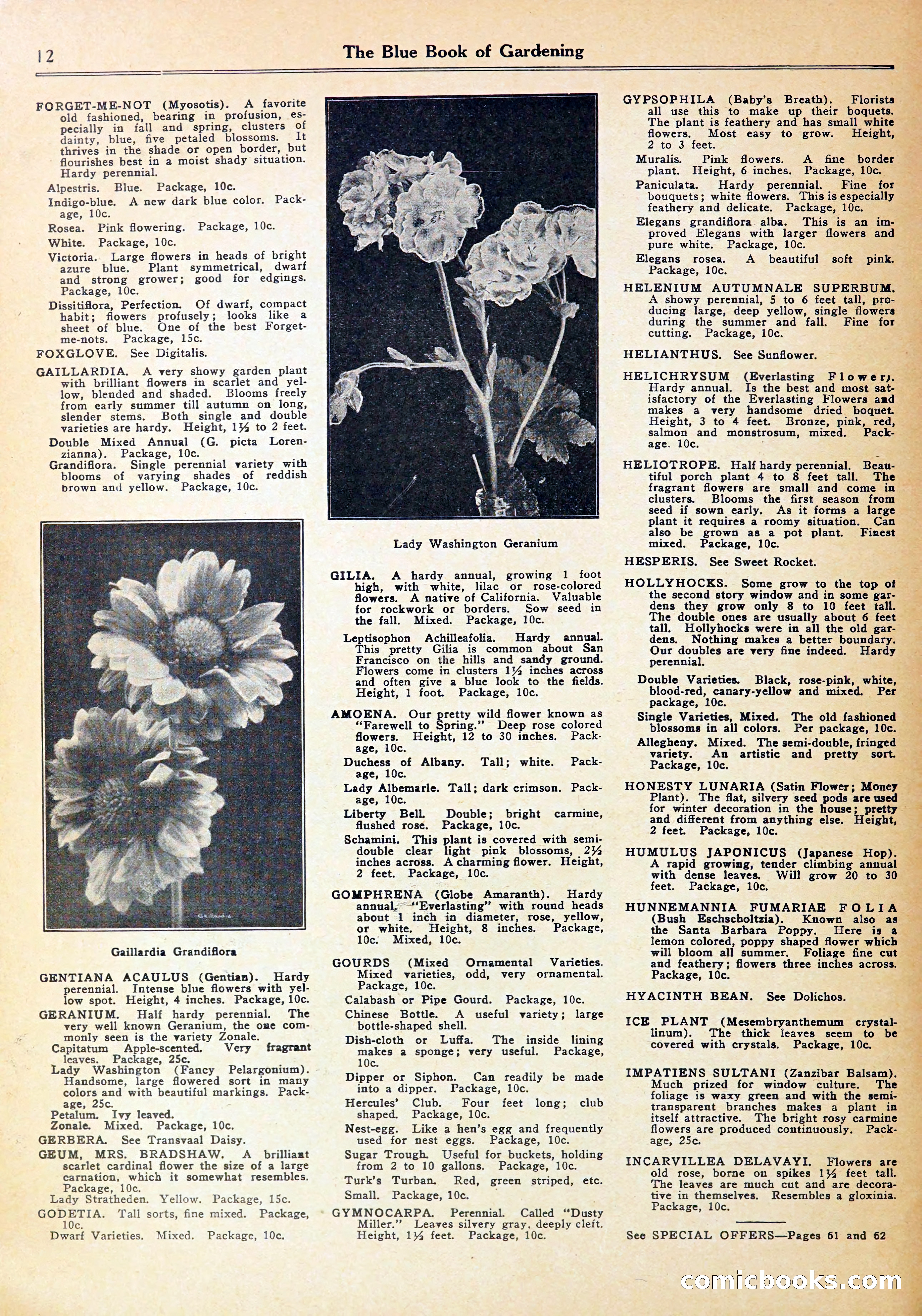 Blue Book of Gardening — page 16 of 72