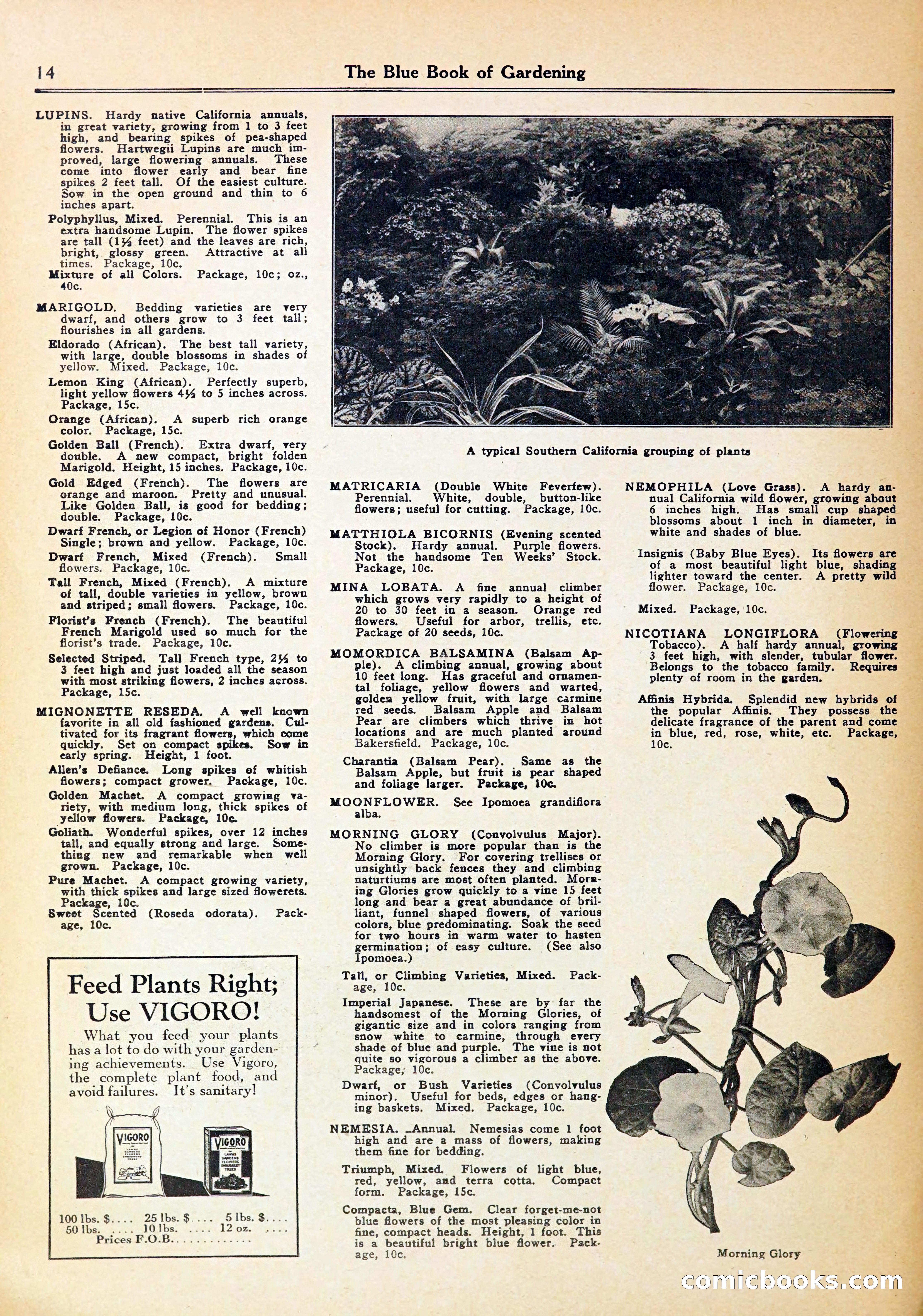 Blue Book of Gardening — page 18 of 72