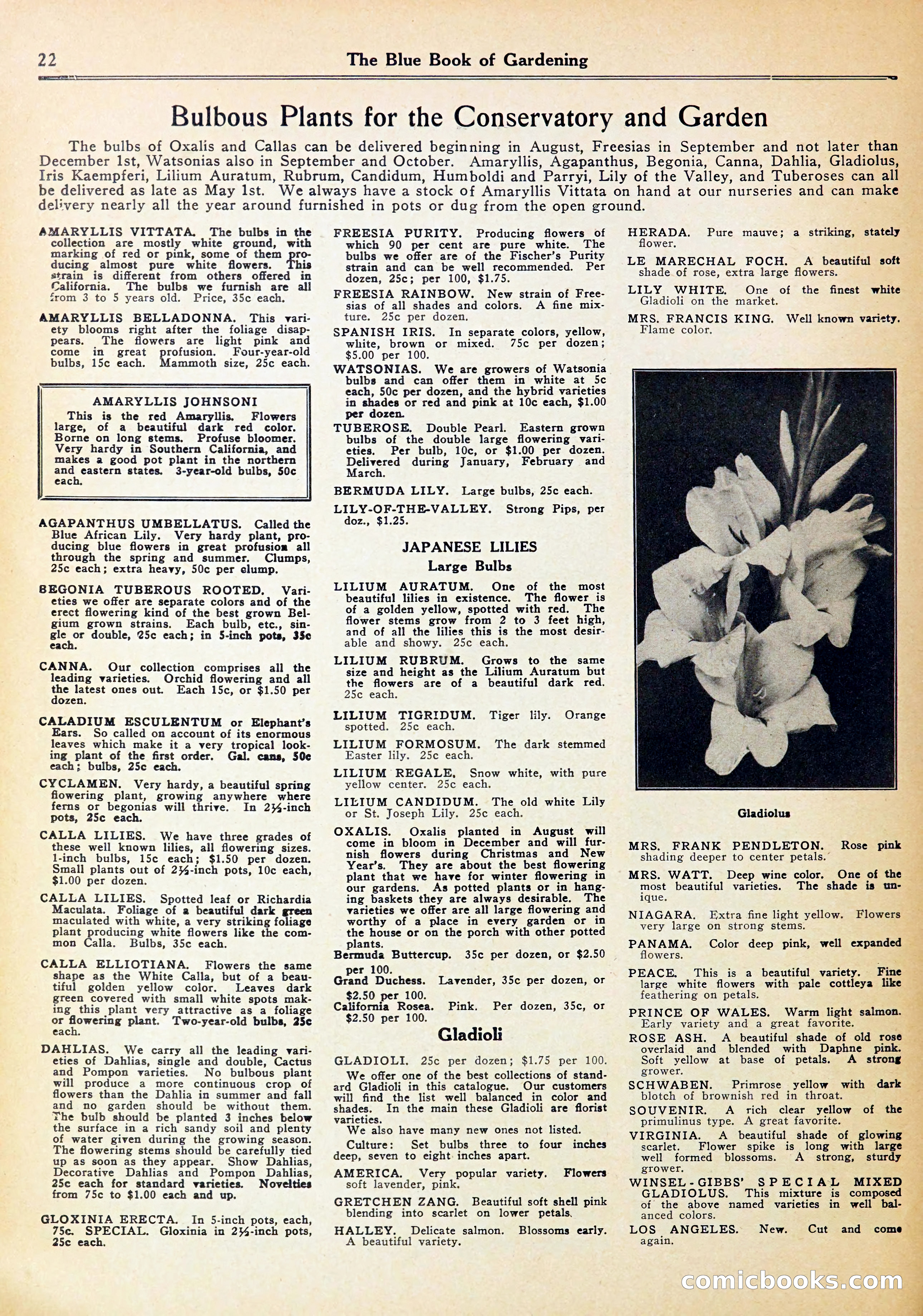 Blue Book of Gardening — page 26 of 72