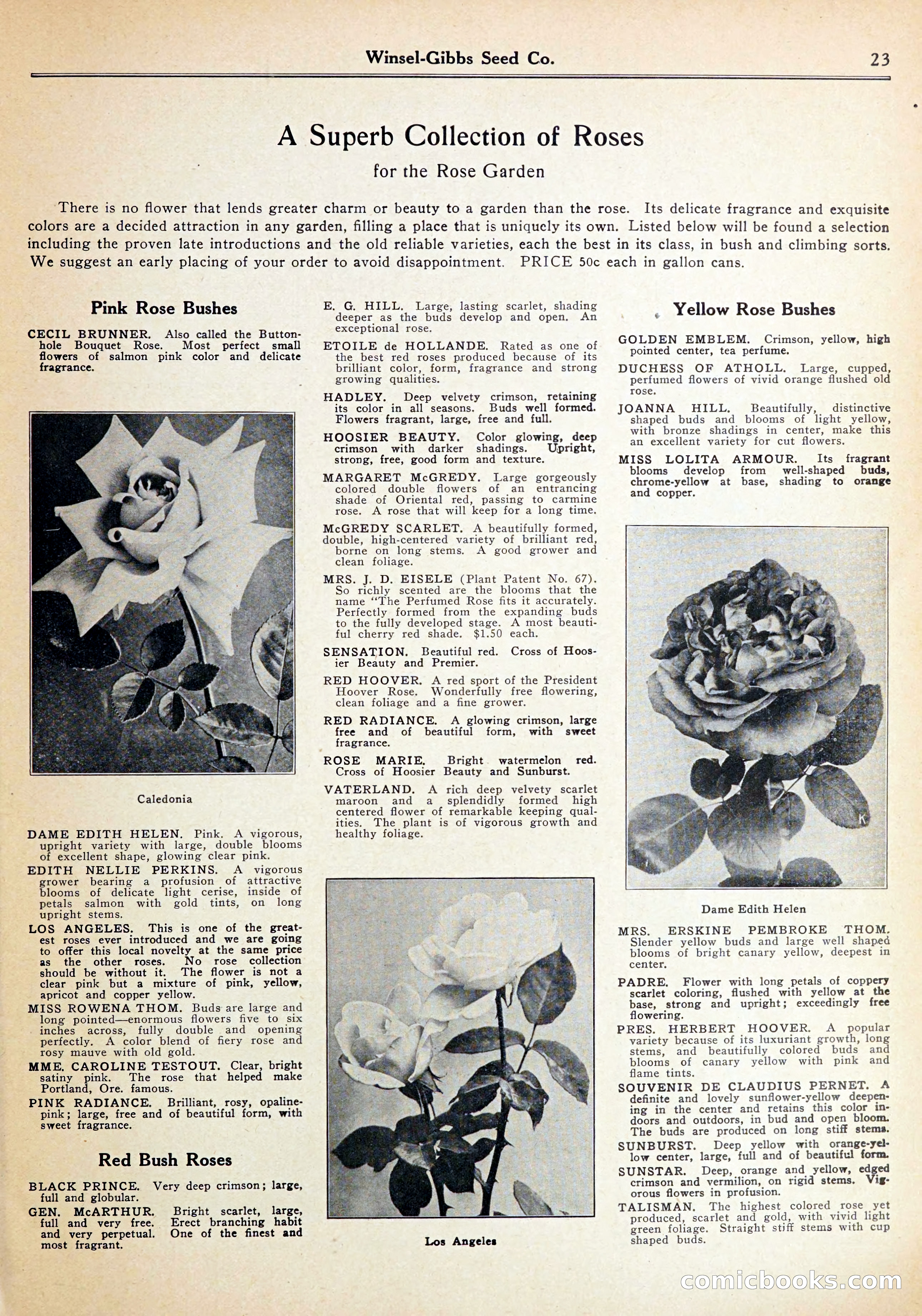 Blue Book of Gardening — page 27 of 72
