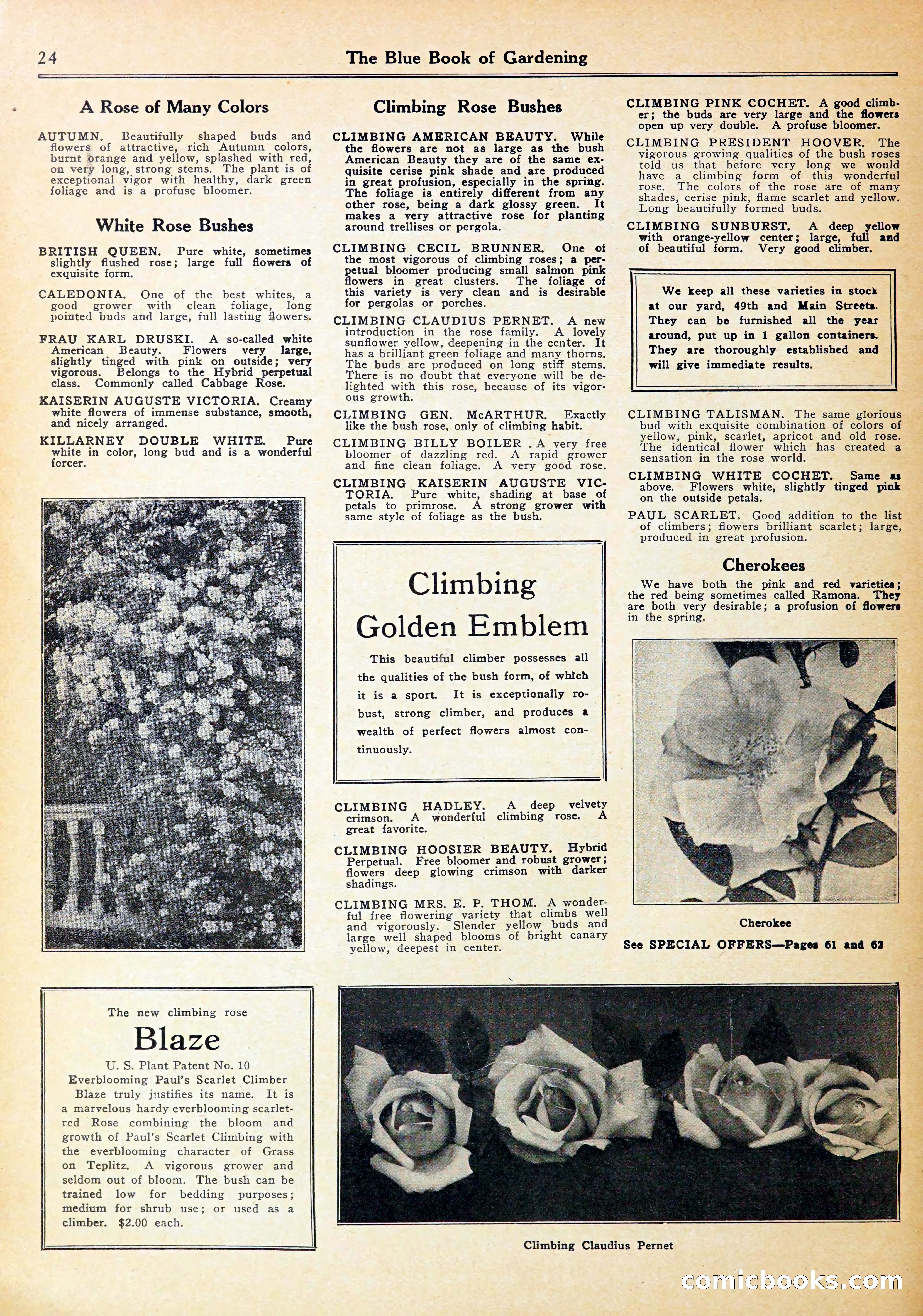 Blue Book of Gardening — page 28 of 72