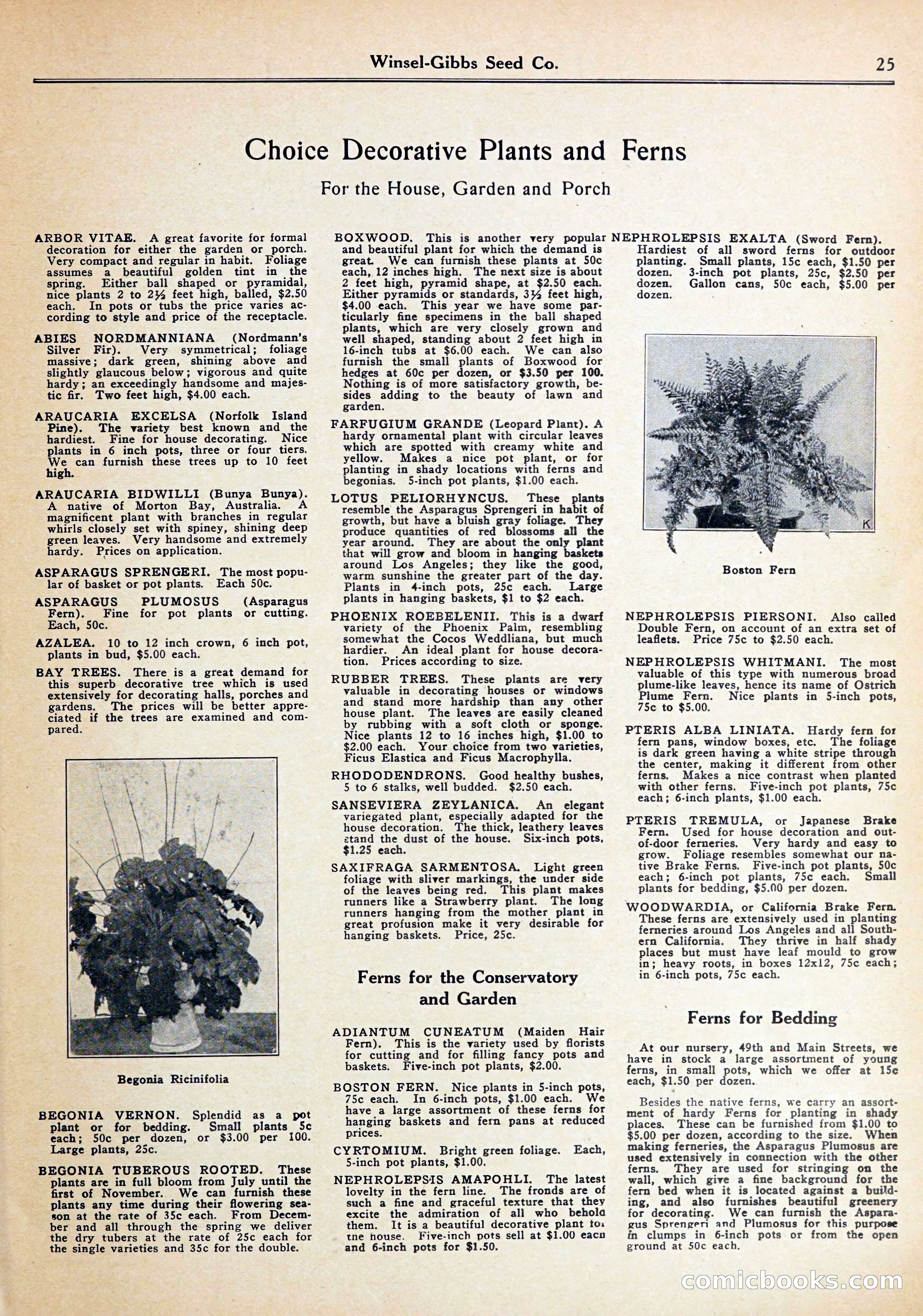 Blue Book of Gardening — page 29 of 72
