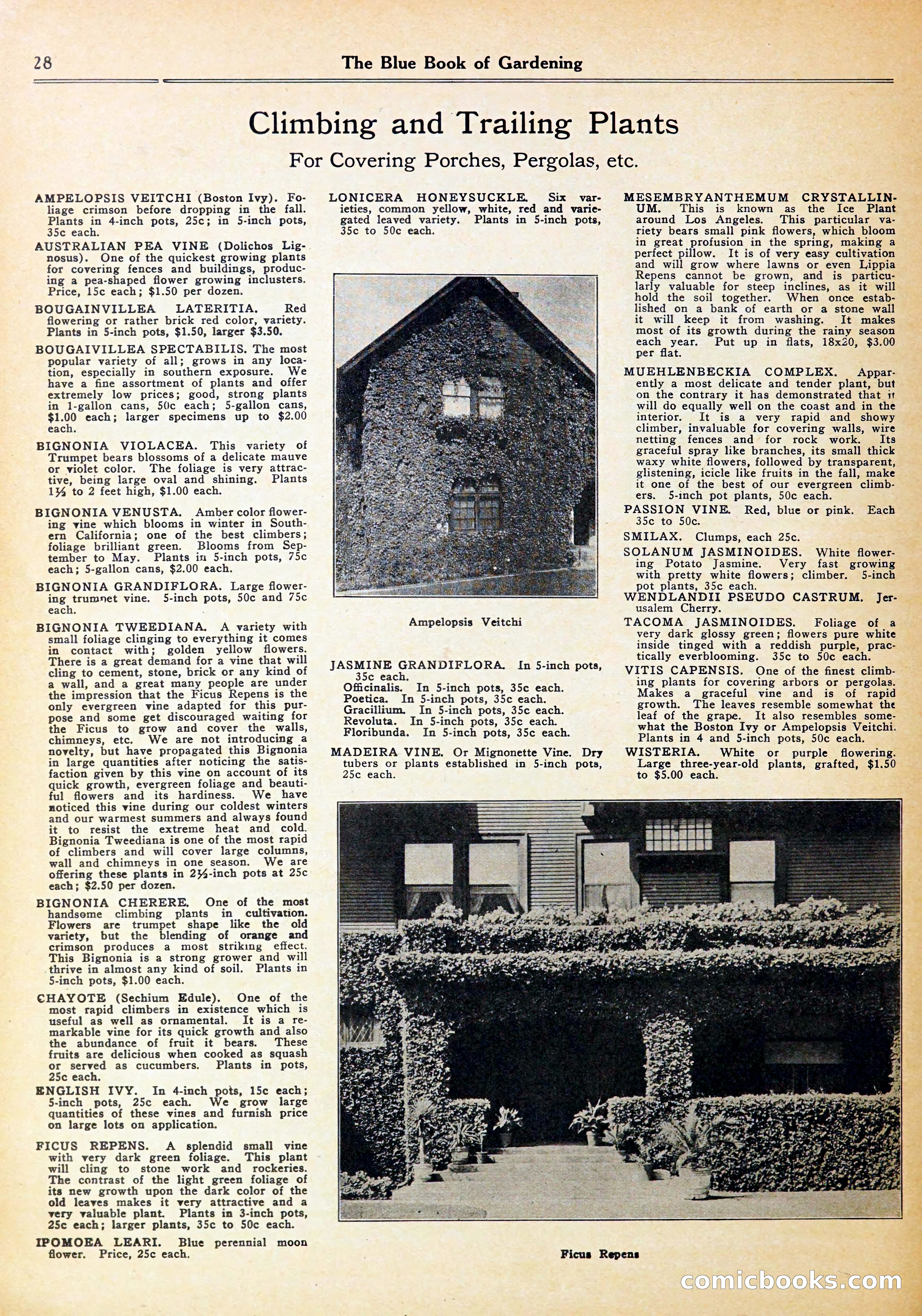 Blue Book of Gardening — page 32 of 72