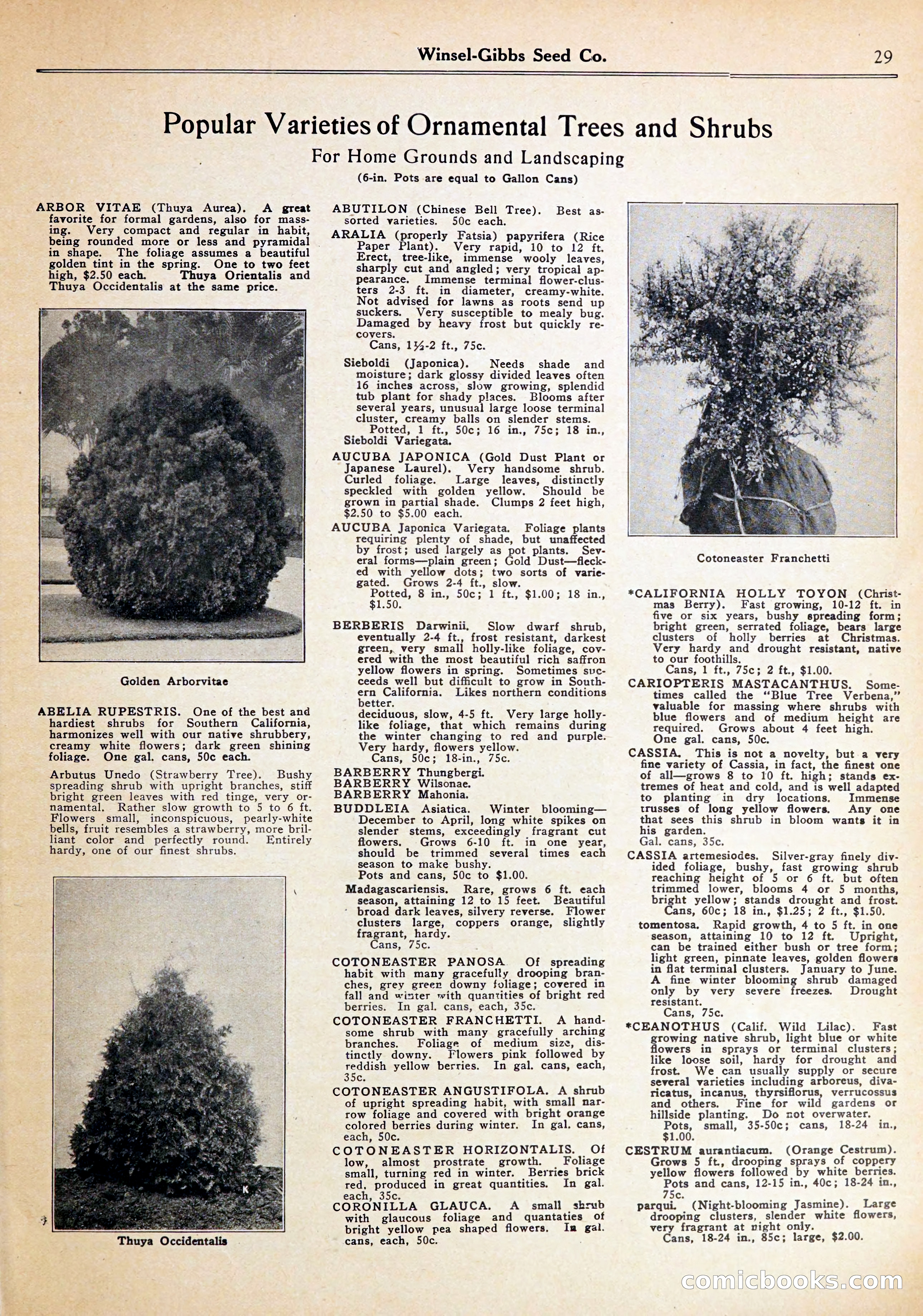 Blue Book of Gardening — page 33 of 72