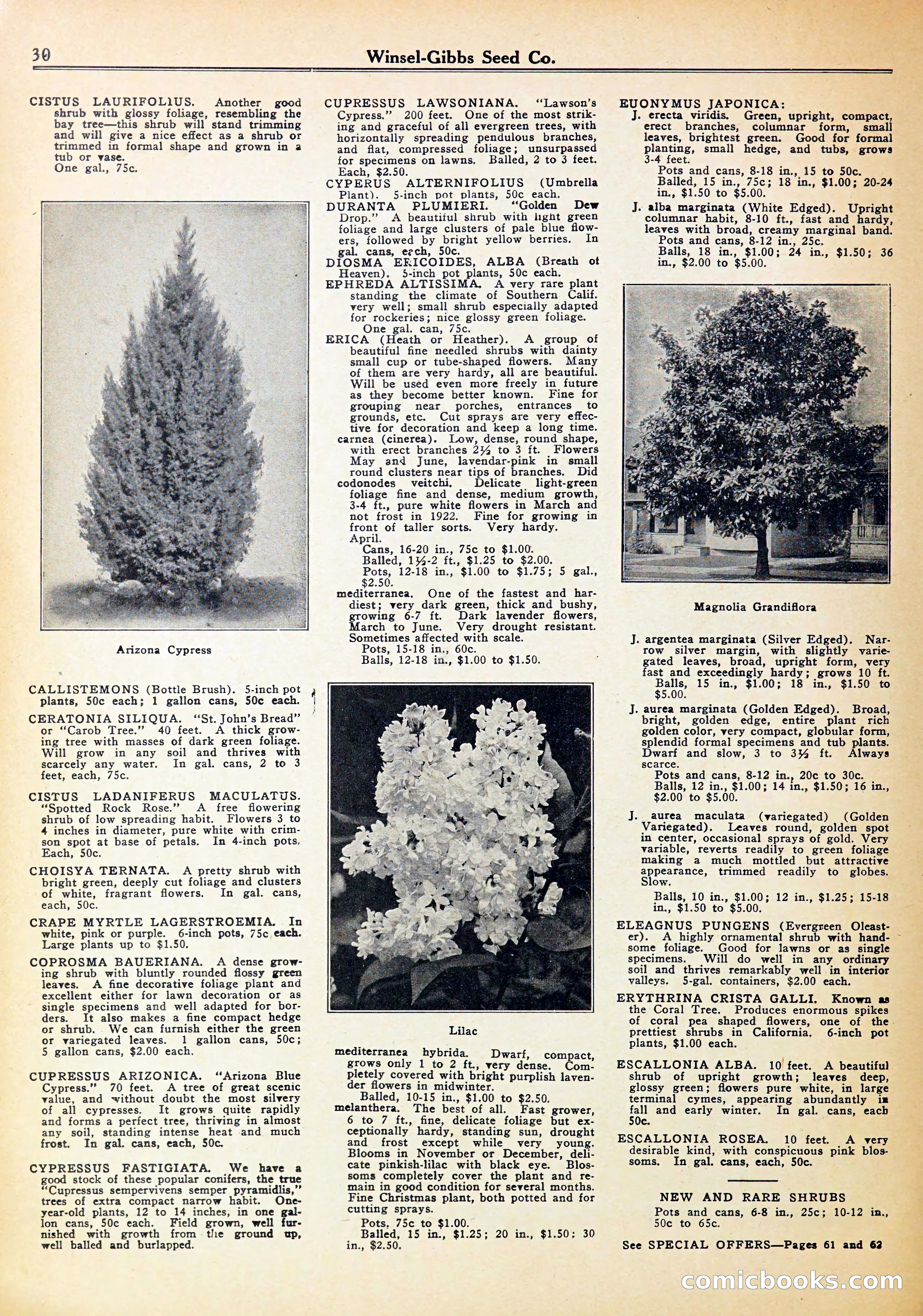 Blue Book of Gardening — page 34 of 72