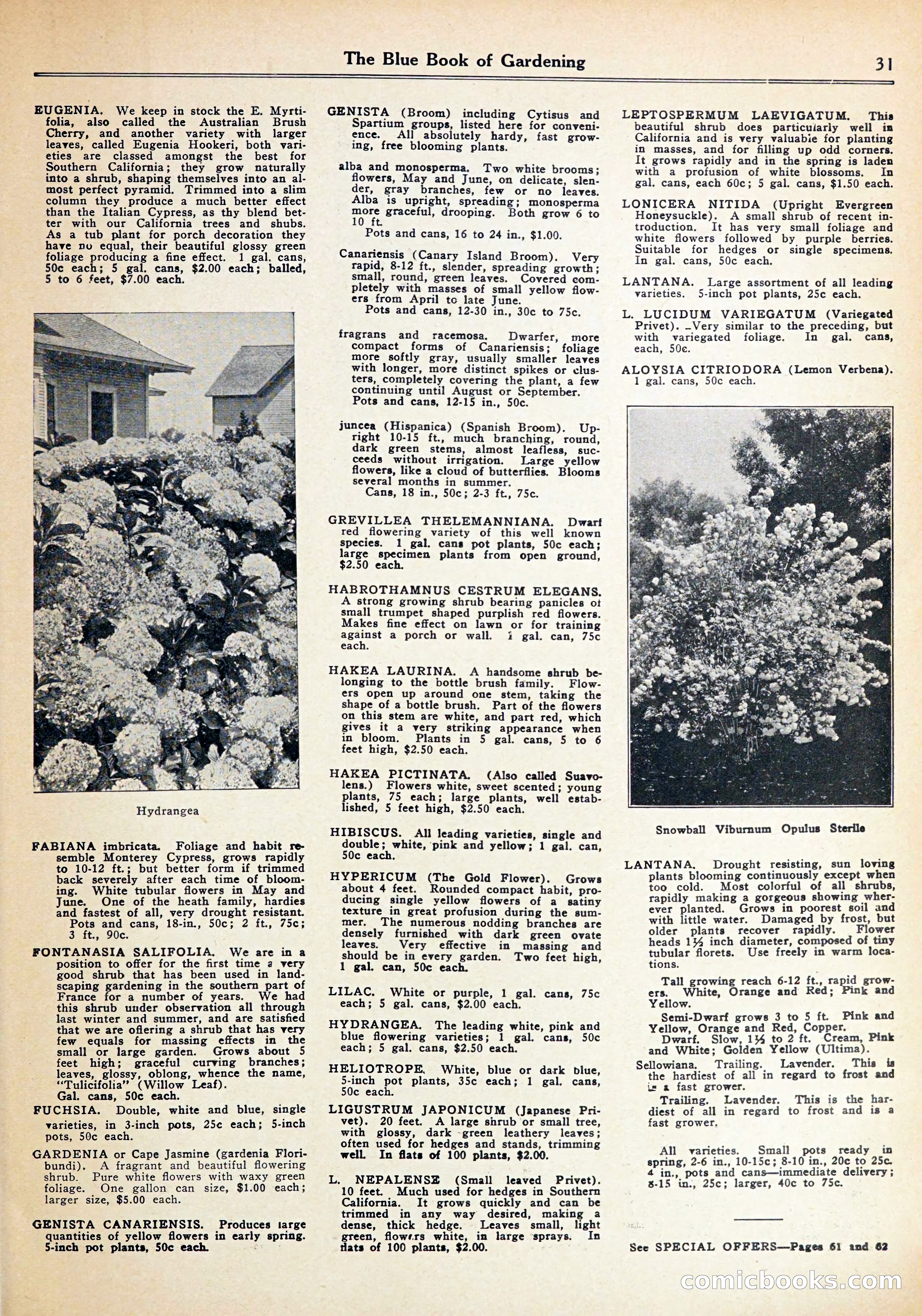 Blue Book of Gardening — page 35 of 72
