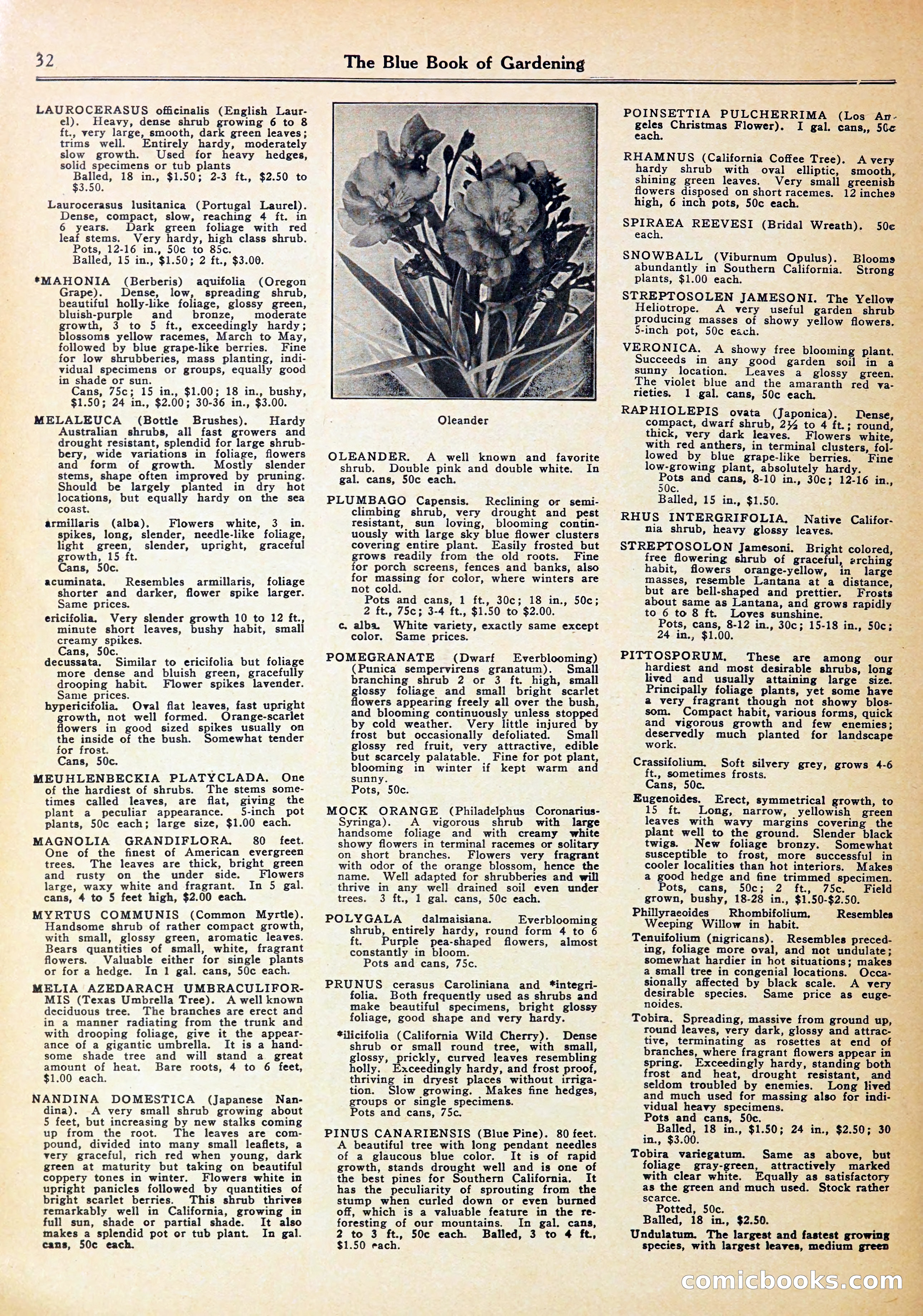 Blue Book of Gardening — page 36 of 72