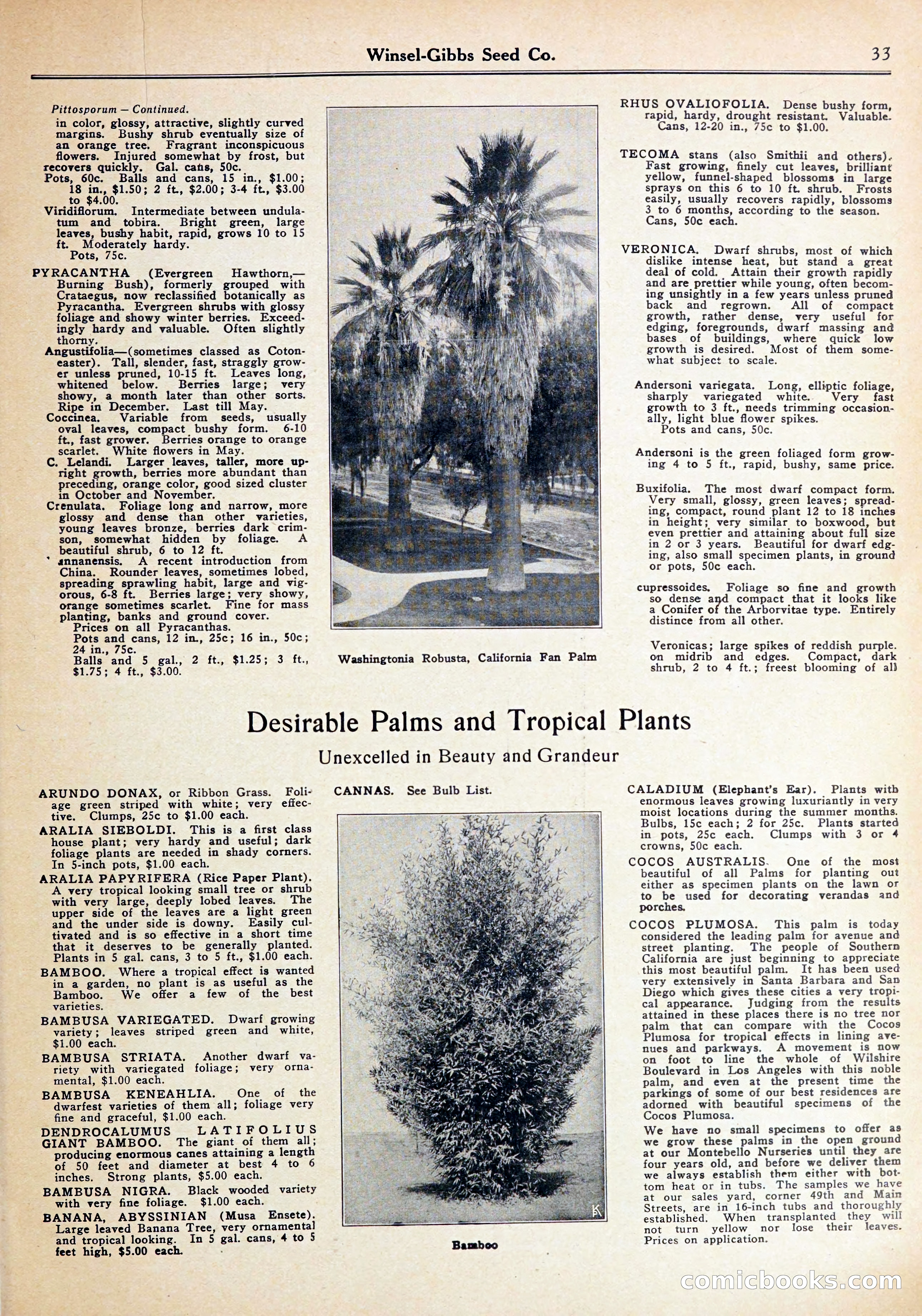 Blue Book of Gardening — page 37 of 72