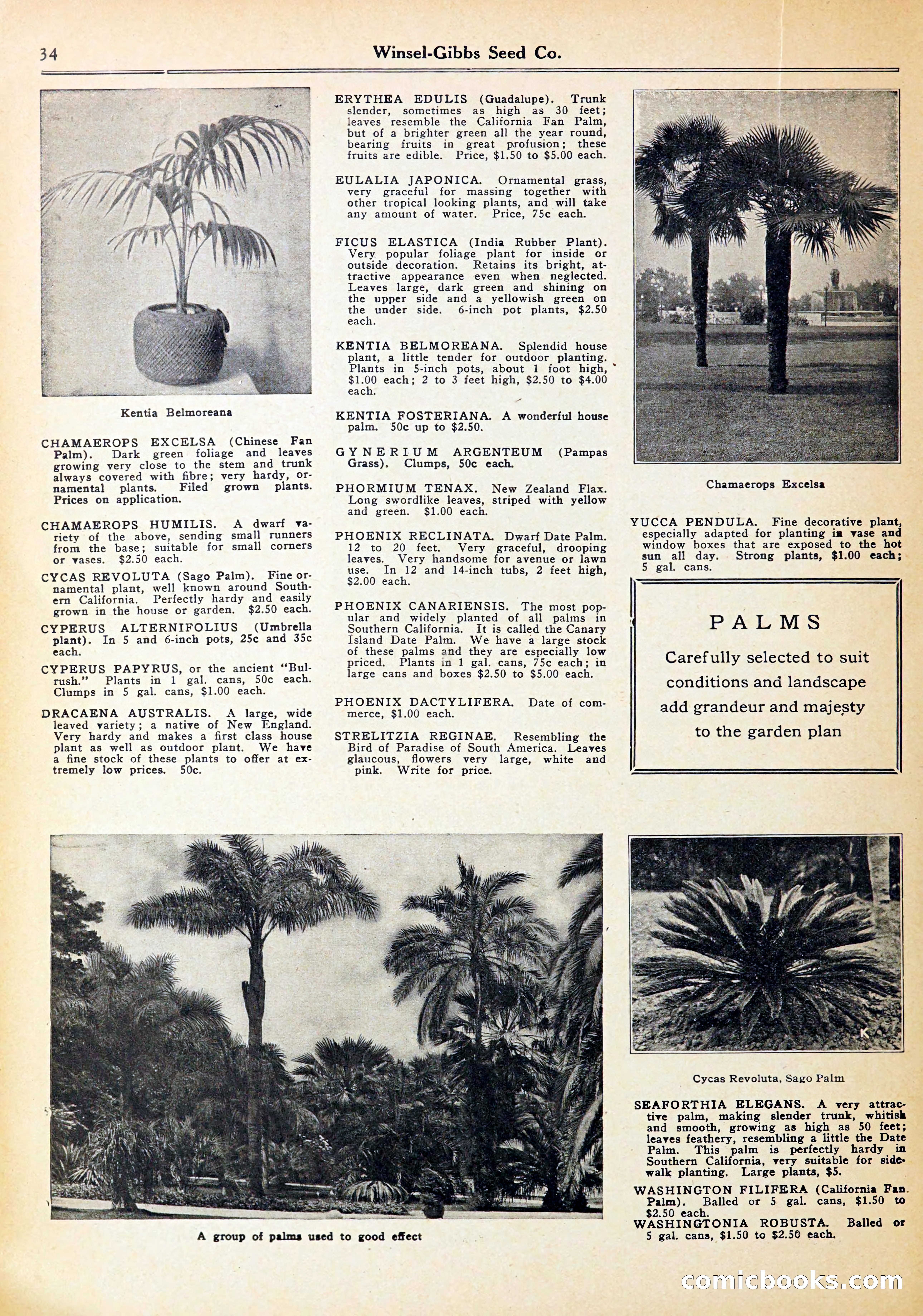 Blue Book of Gardening — page 38 of 72