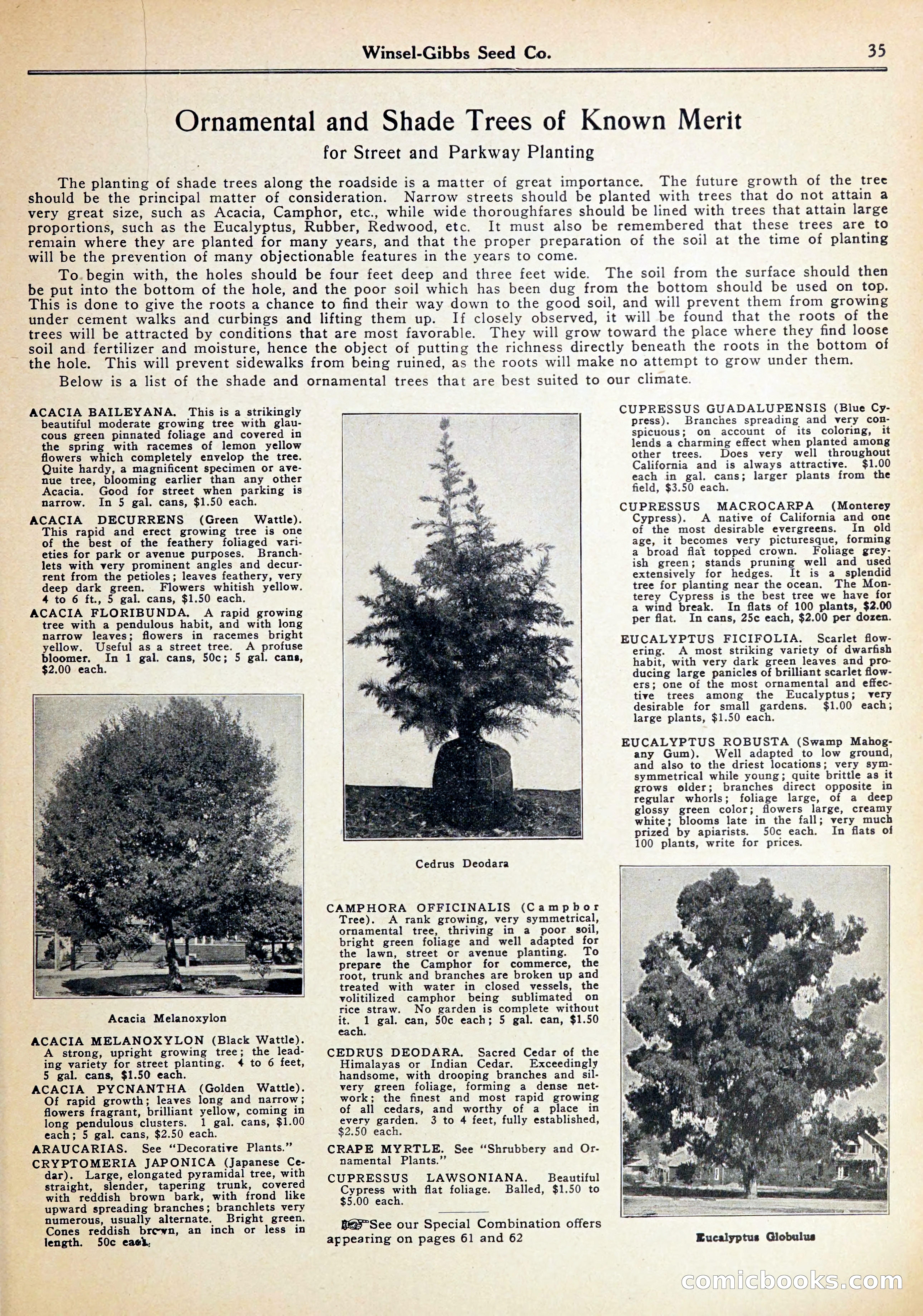 Blue Book of Gardening — page 39 of 72