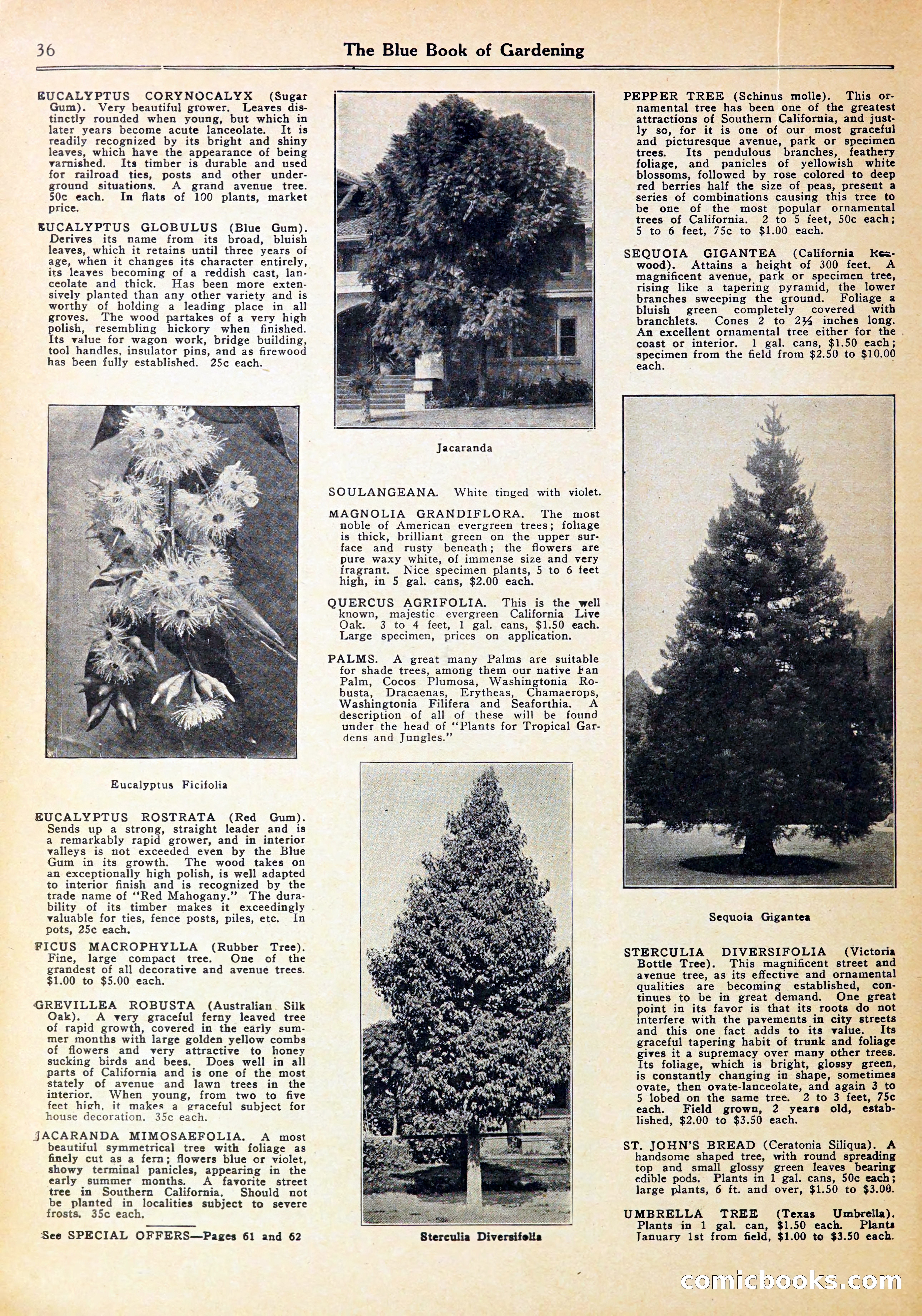 Blue Book of Gardening — page 40 of 72