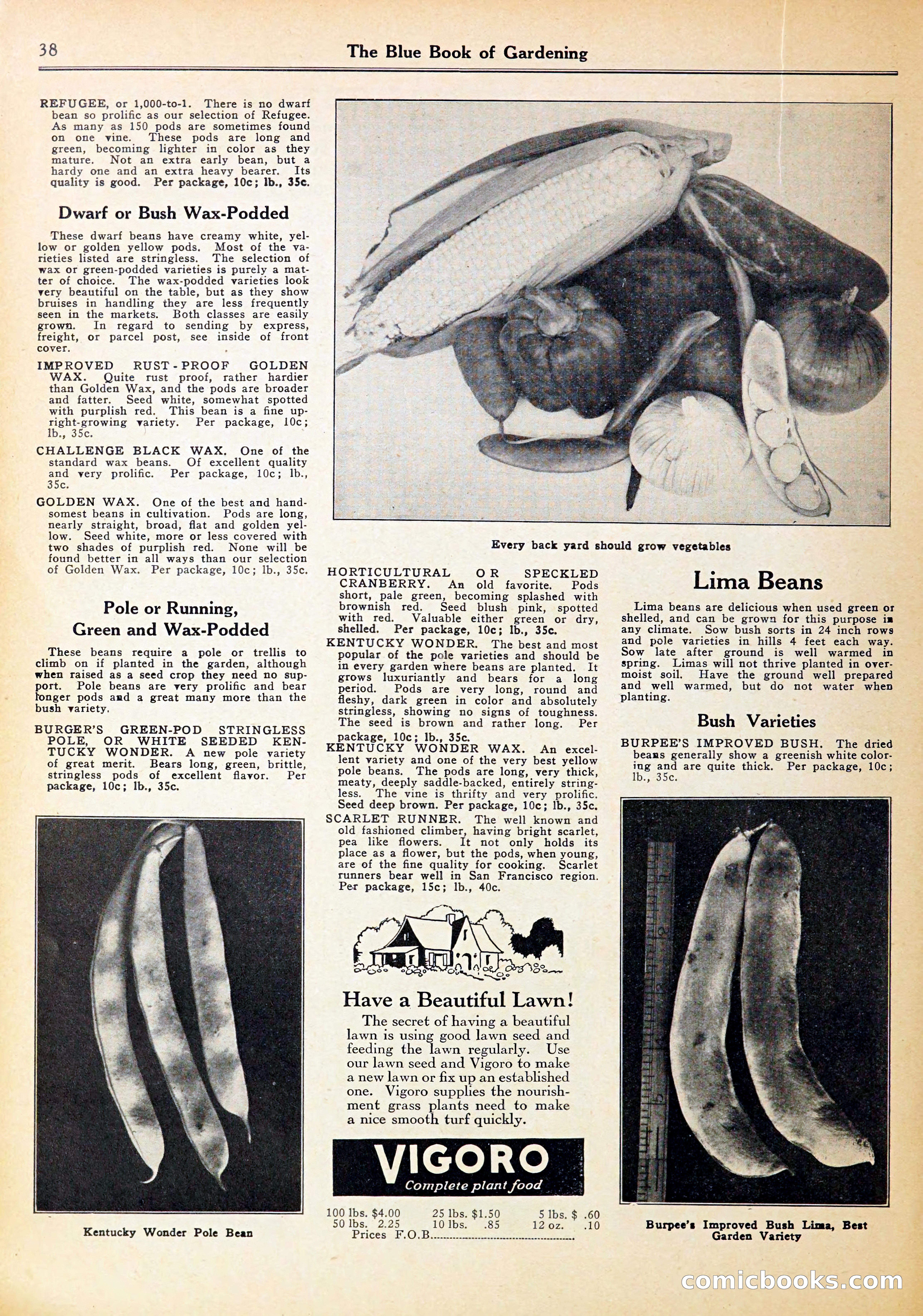 Blue Book of Gardening — page 42 of 72