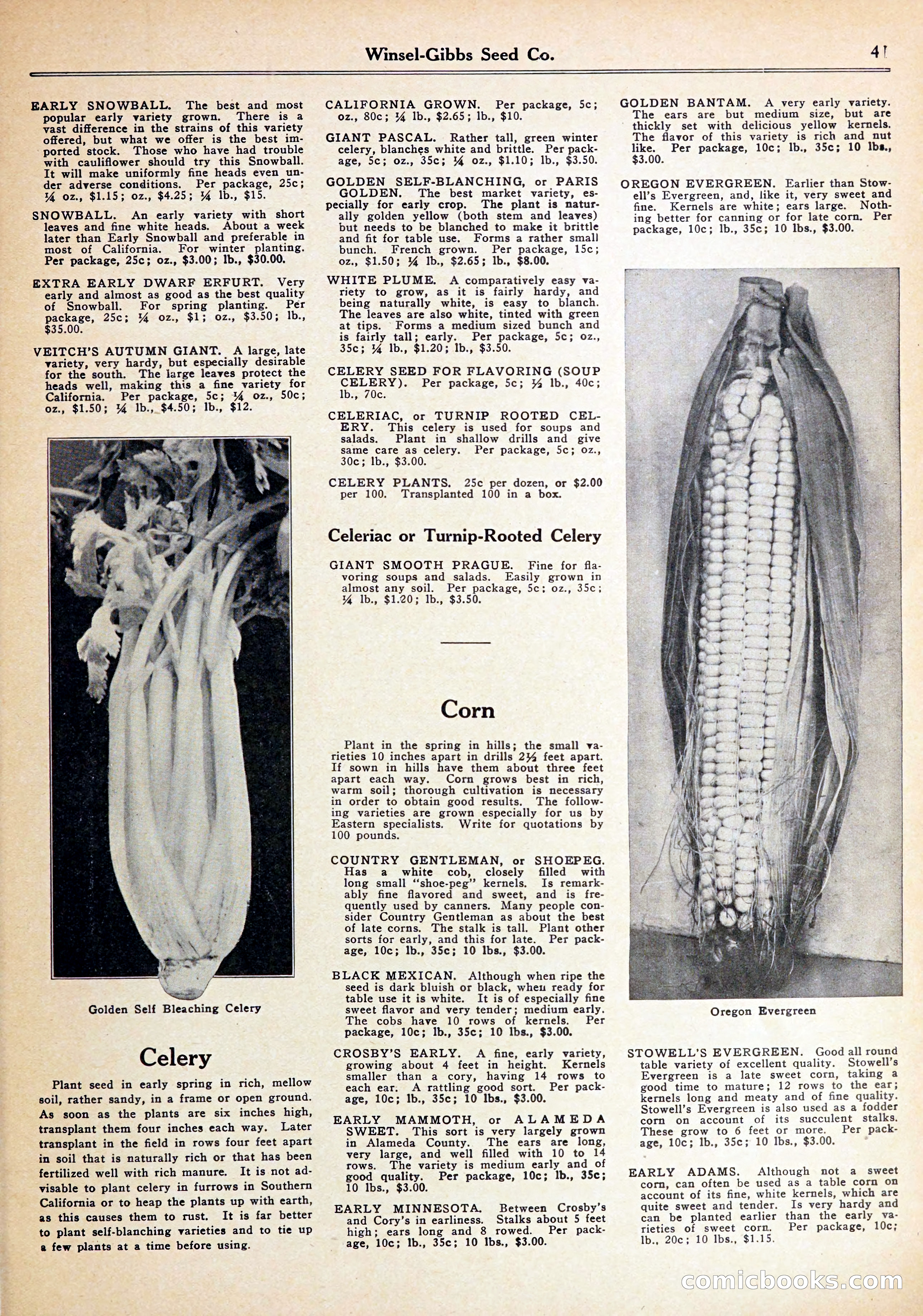 Blue Book of Gardening — page 45 of 72