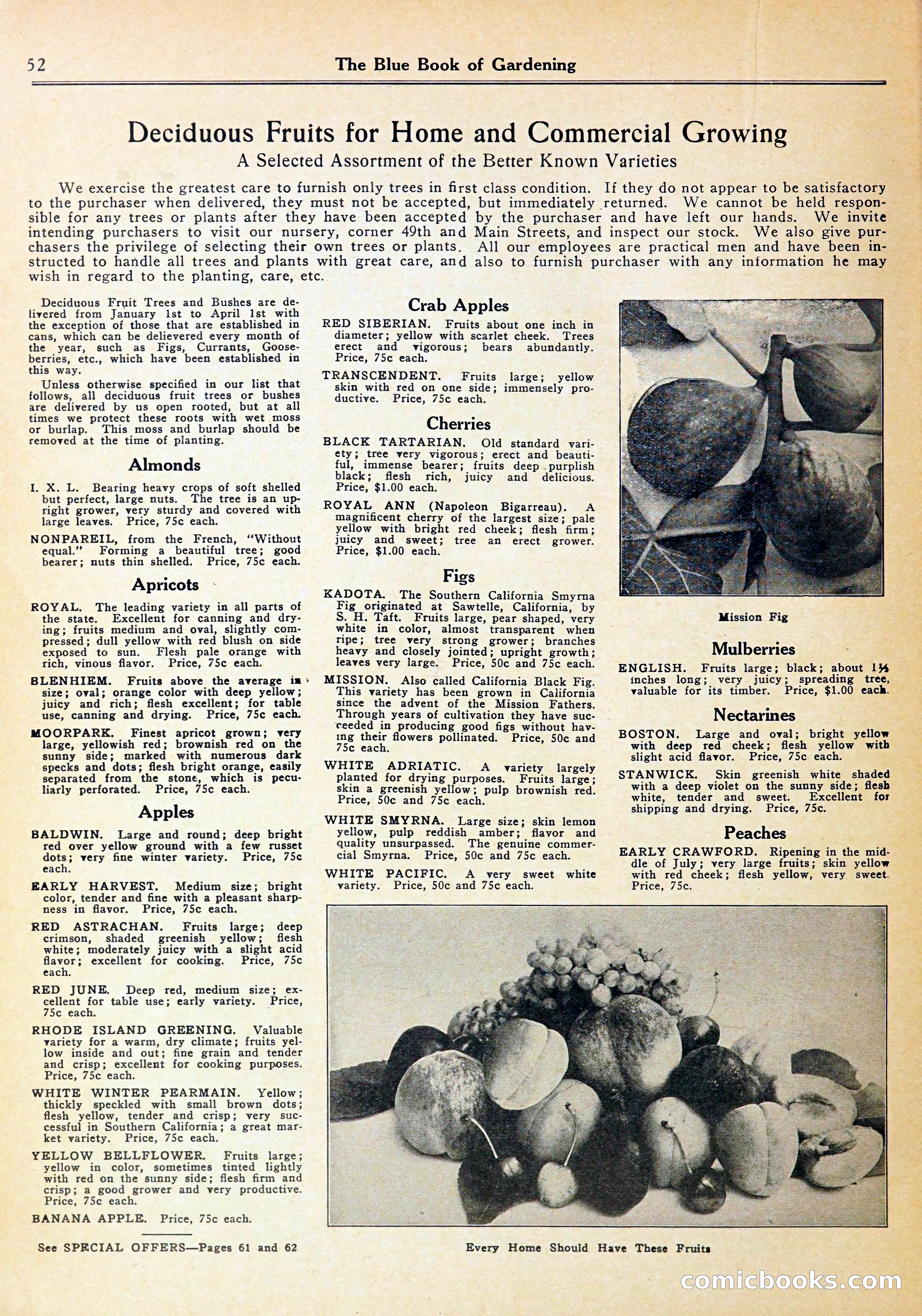 Blue Book of Gardening — page 56 of 72