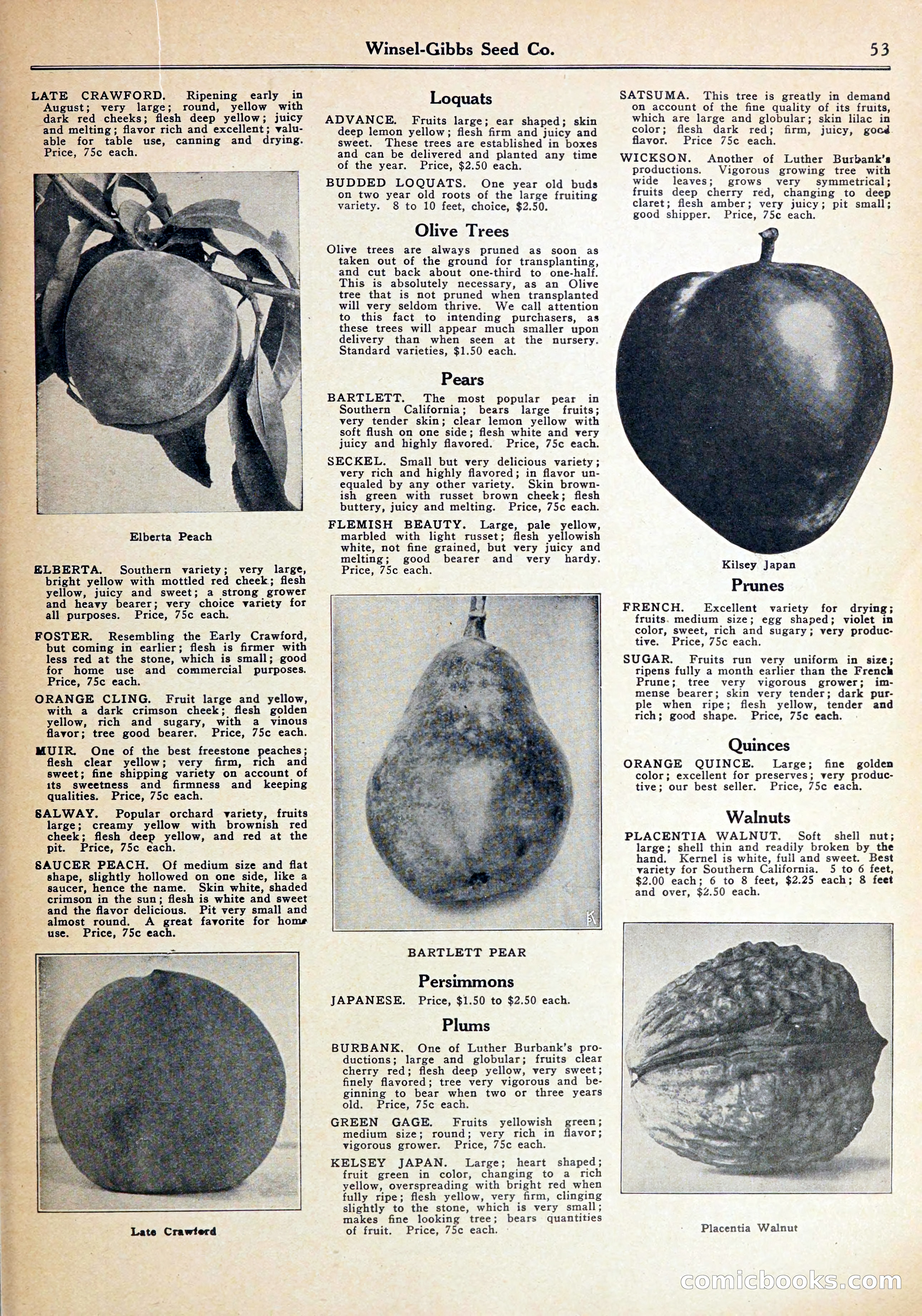 Blue Book of Gardening — page 57 of 72