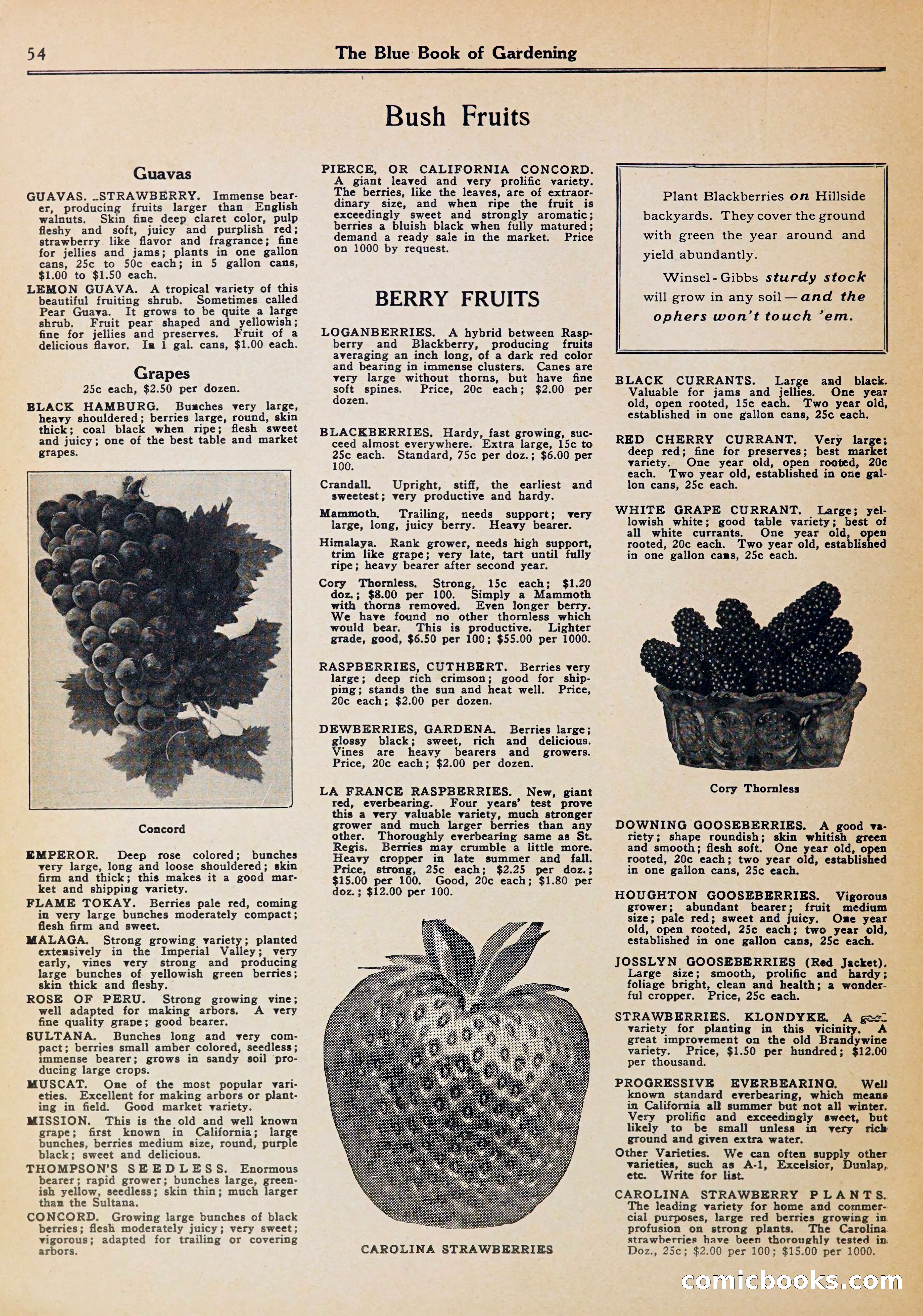 Blue Book of Gardening — page 58 of 72