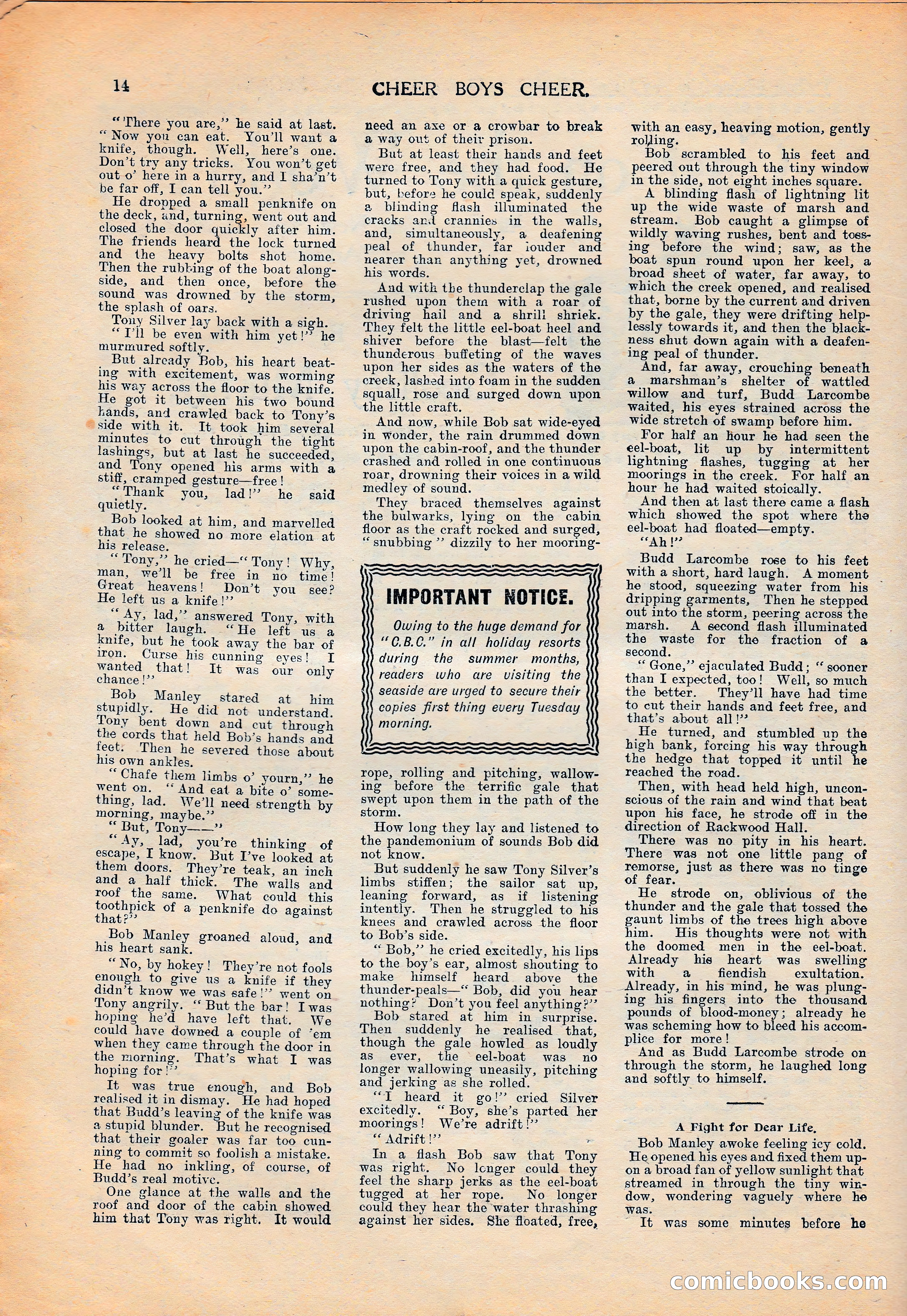 Cheer Boys Cheer: The Boys' Journal, No. 62 — page 14 of 36
