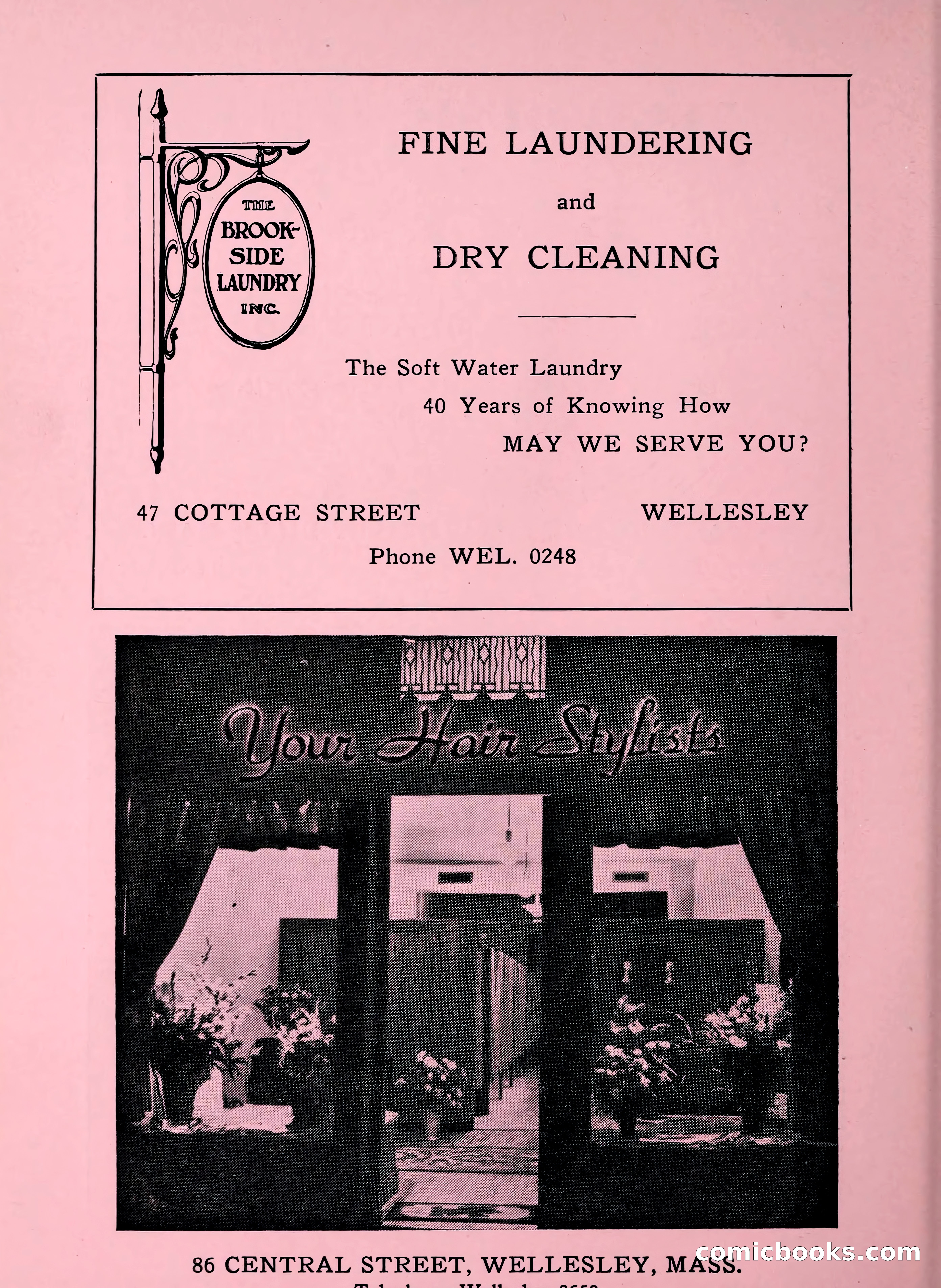 Davis' Blue Book of Brookline, Wellesley and Weston — page 192 of 224