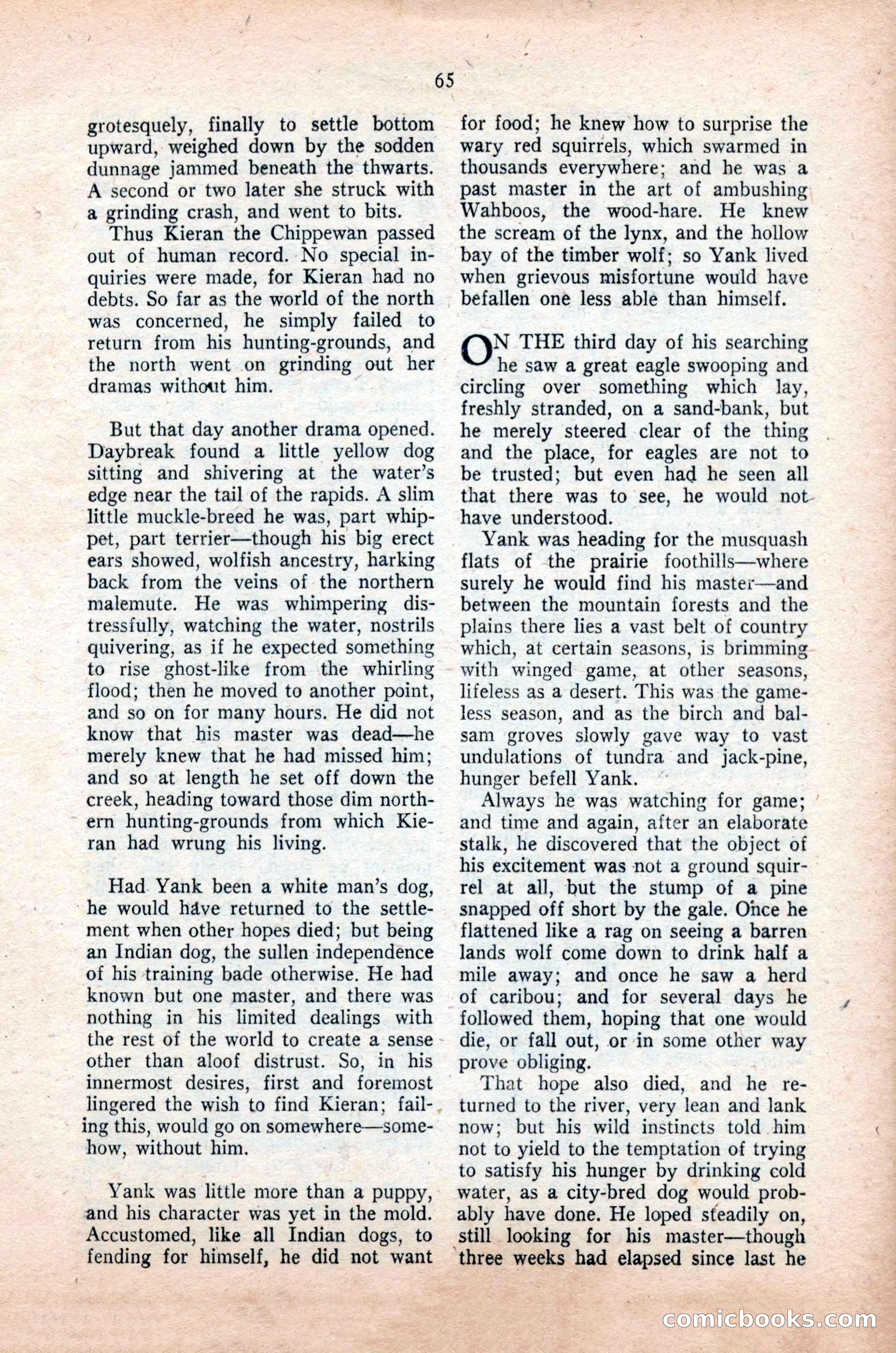Famous Western, October 1955 — page 65 of 100