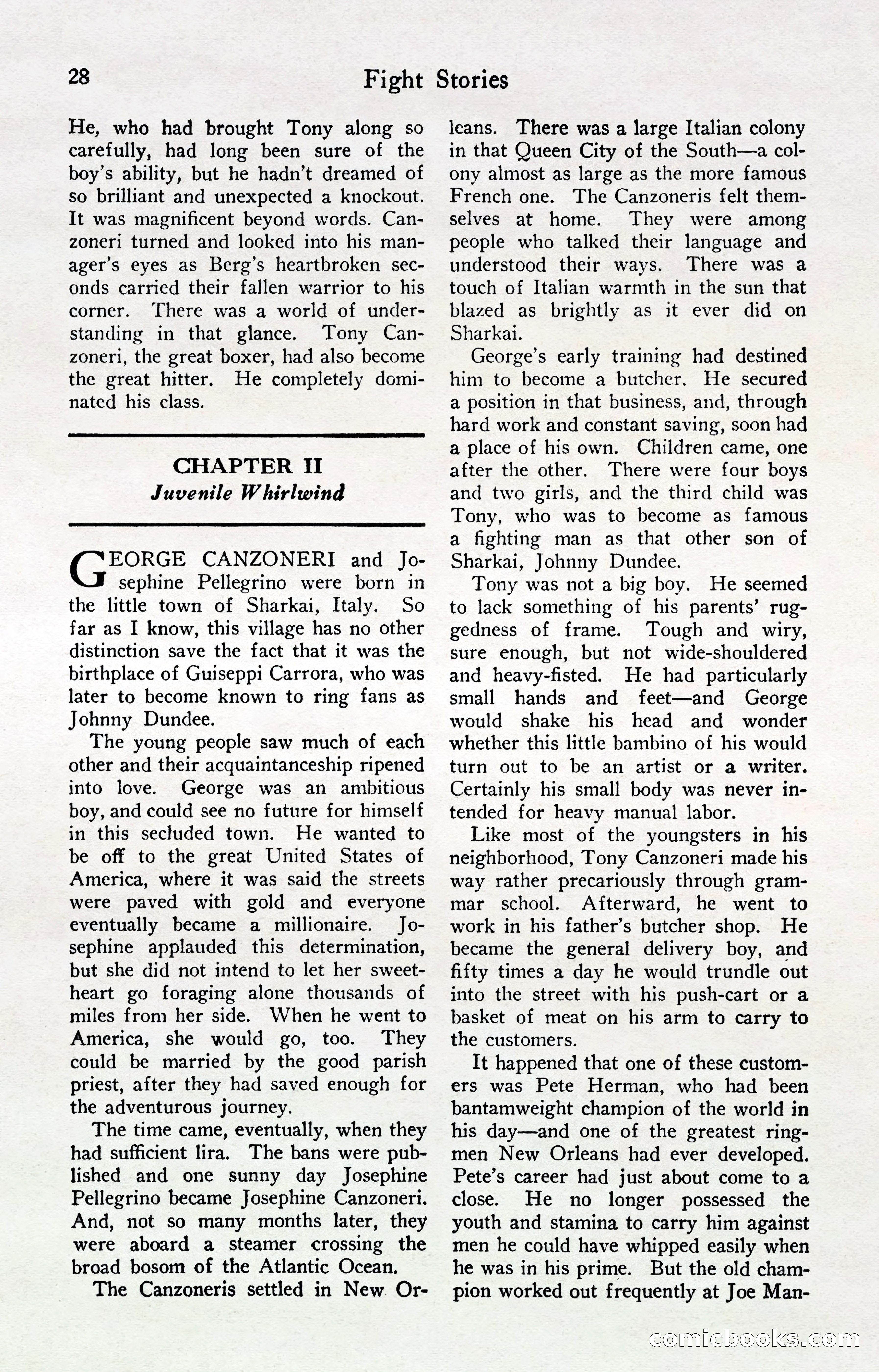 Fight Stories, April 1932 — page 30 of 132
