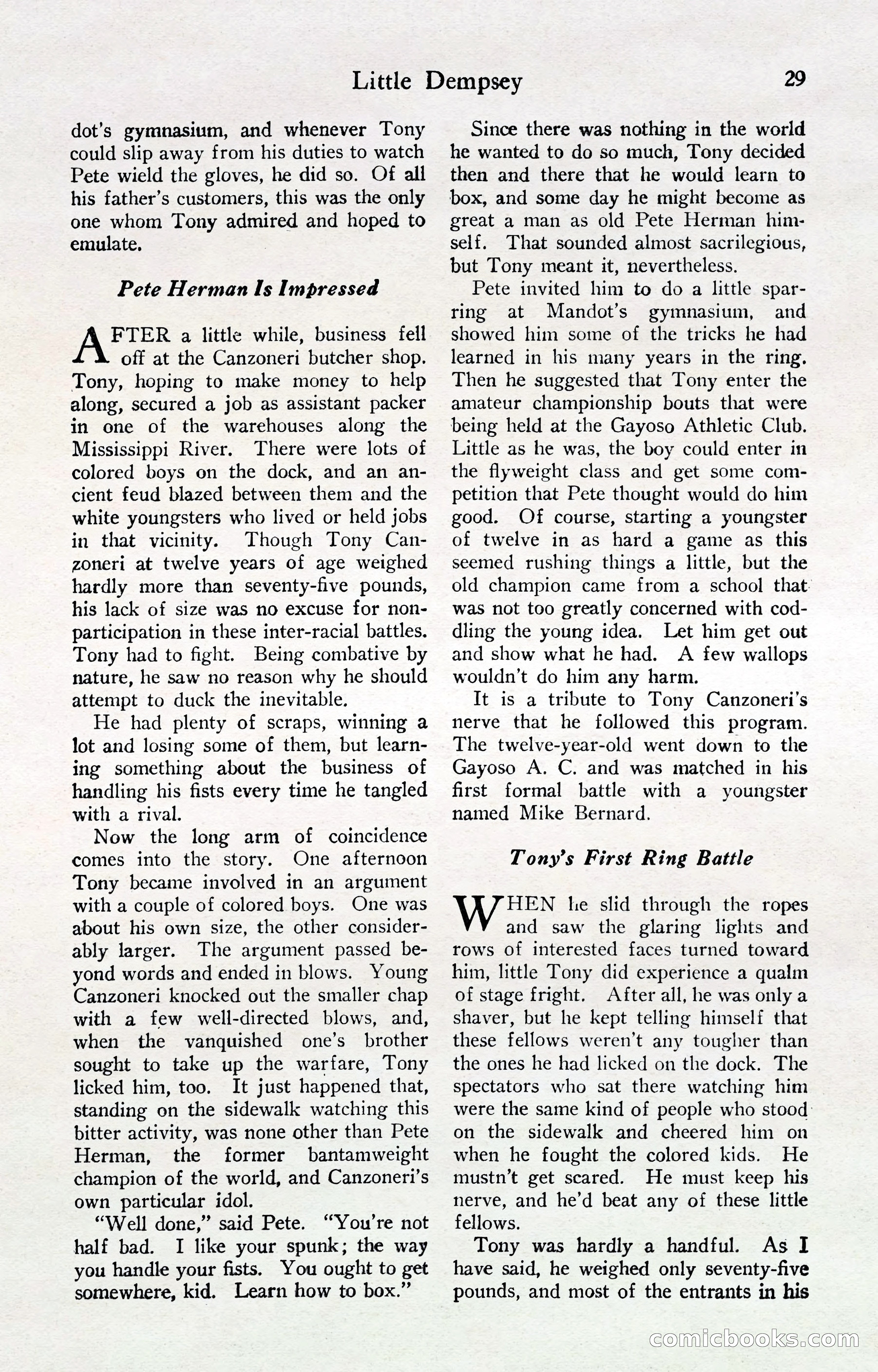 Fight Stories, April 1932 — page 31 of 132