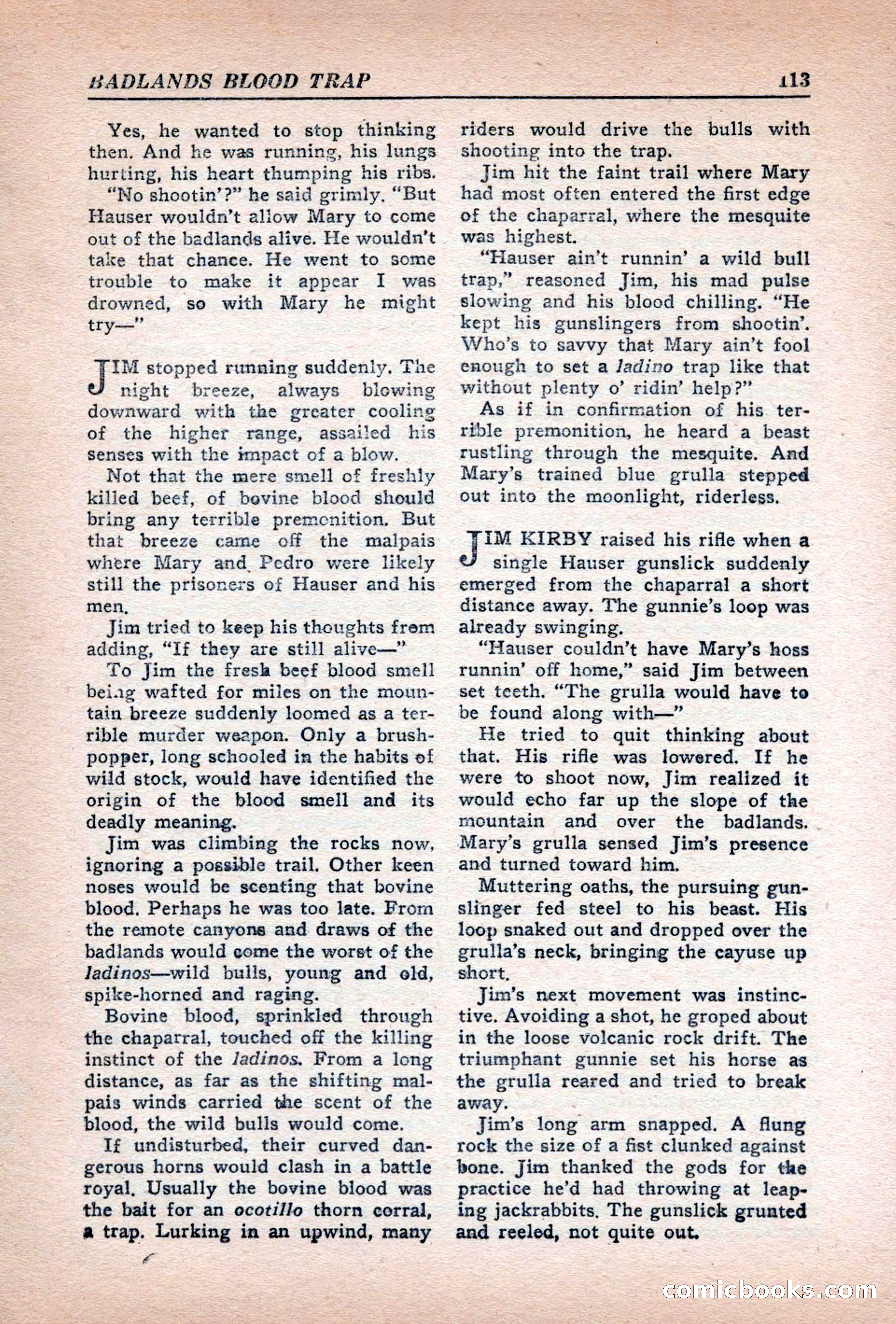 Fighting Western, Vol. 5, No. 5 — page 113 of 132