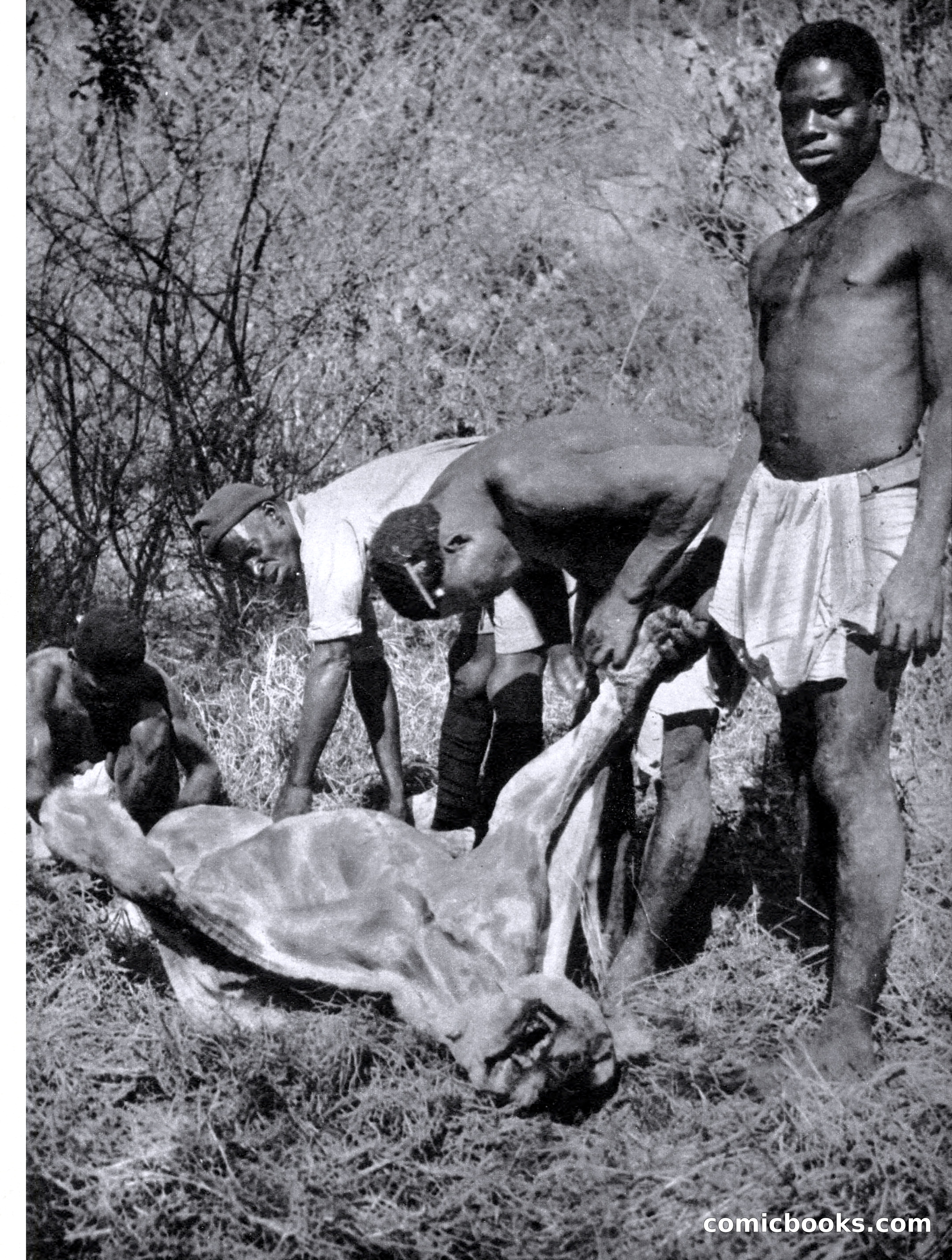 Outdoor Adventures, March 1956 — page 21 of 84