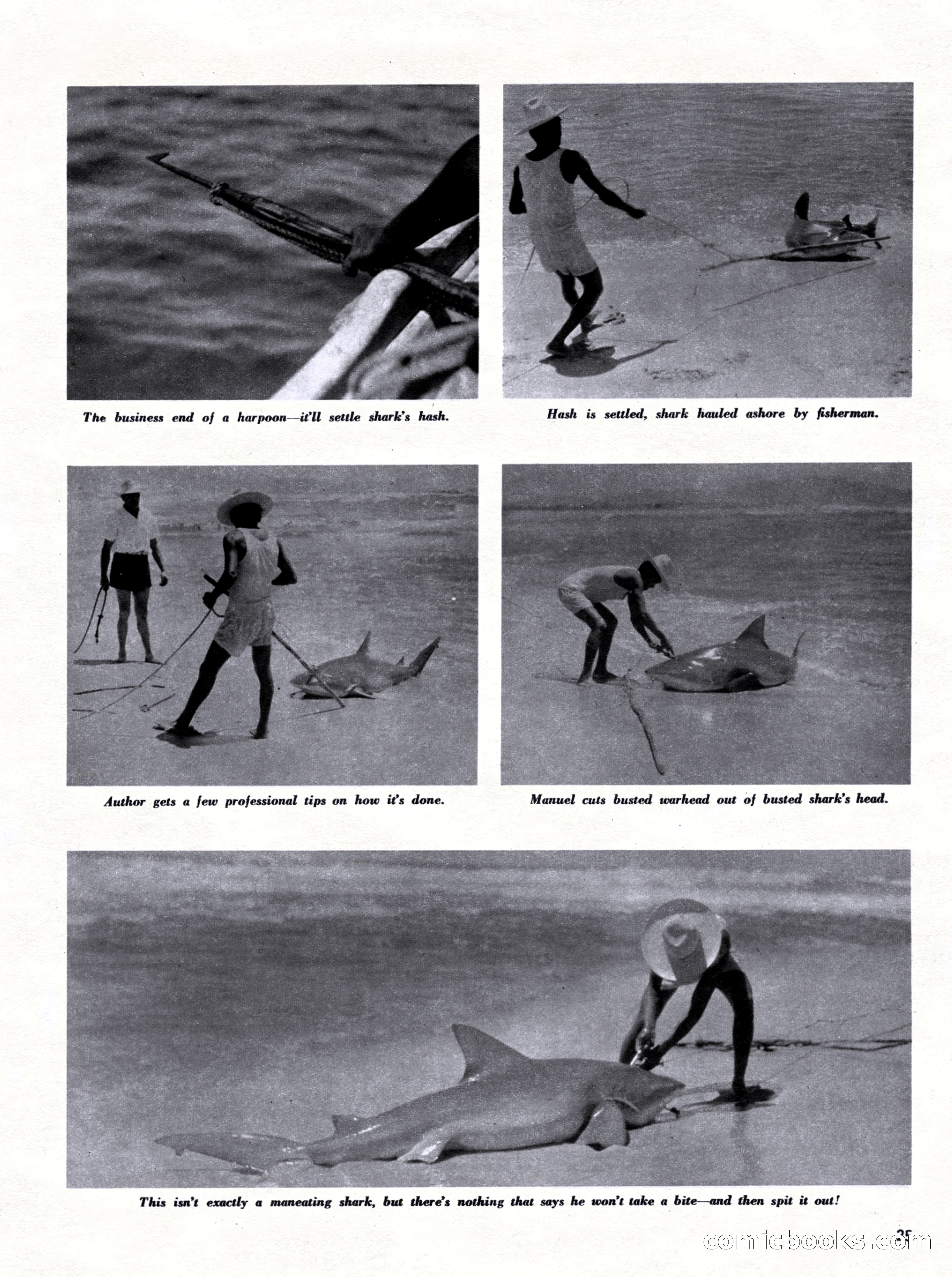 Outdoor Adventures, March 1956 — page 25 of 84