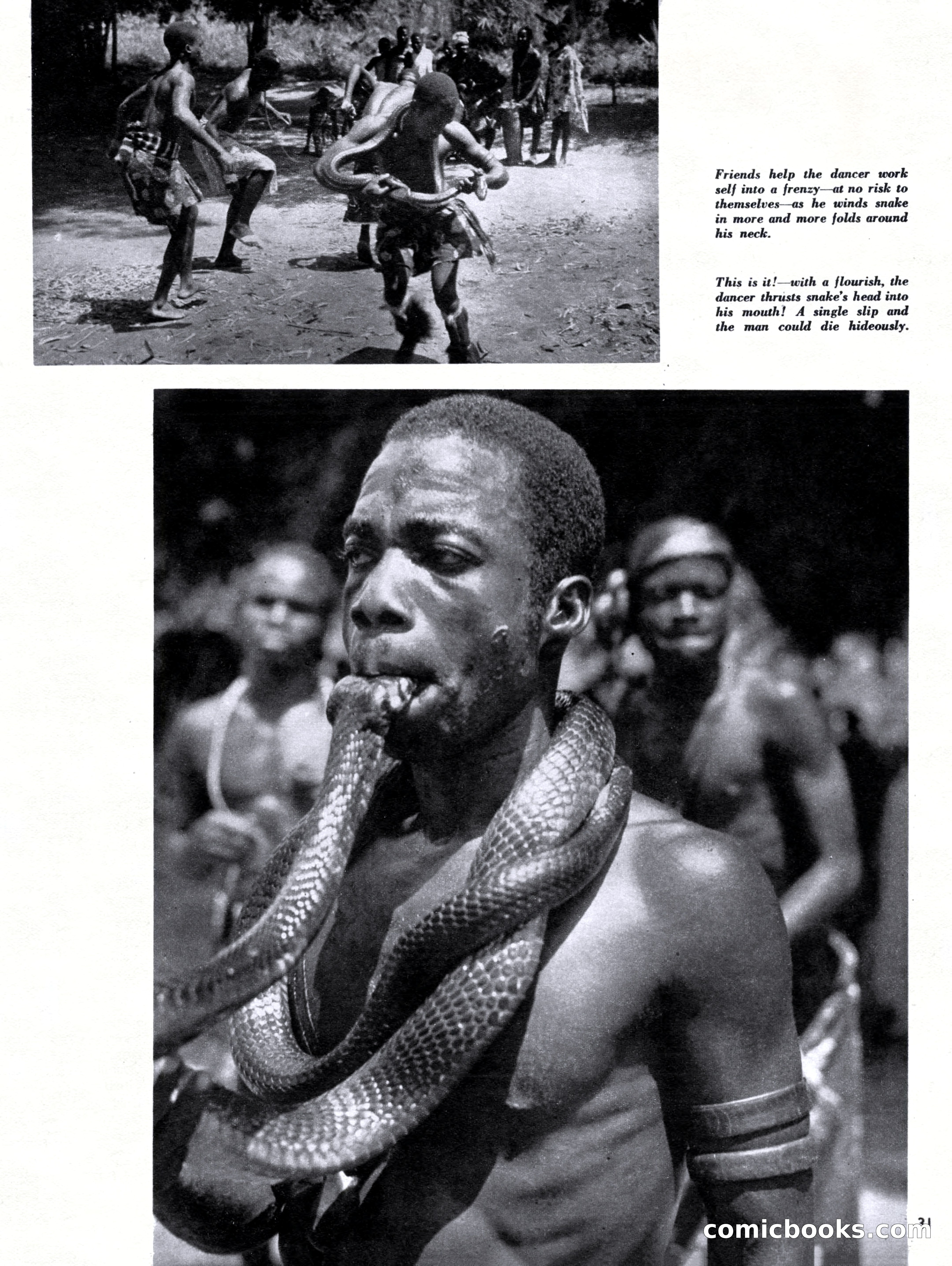 Outdoor Adventures, March 1956 — page 31 of 84