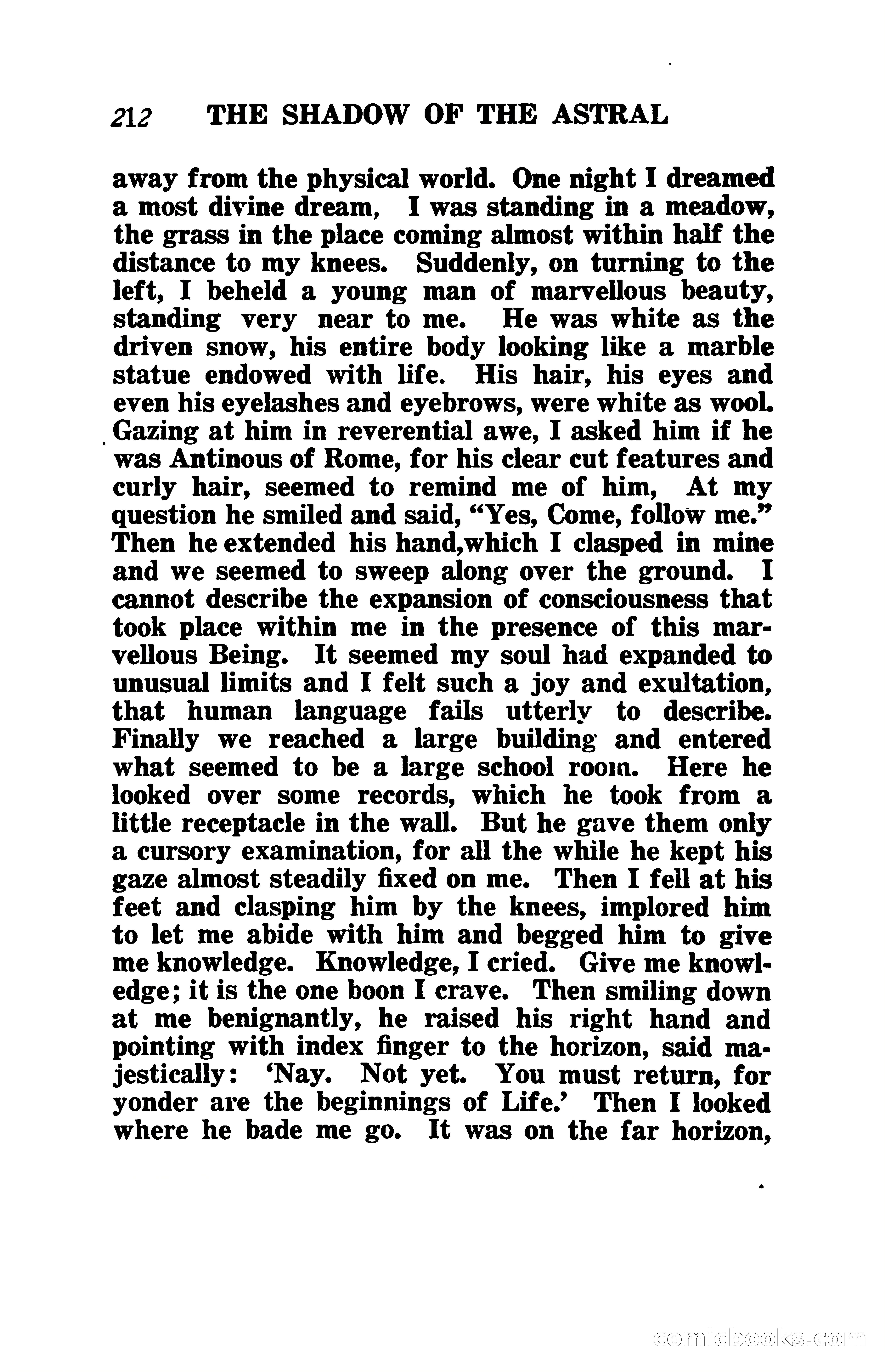 The Shadow of the Astral: A Mystic Narrative — page 219 of 345