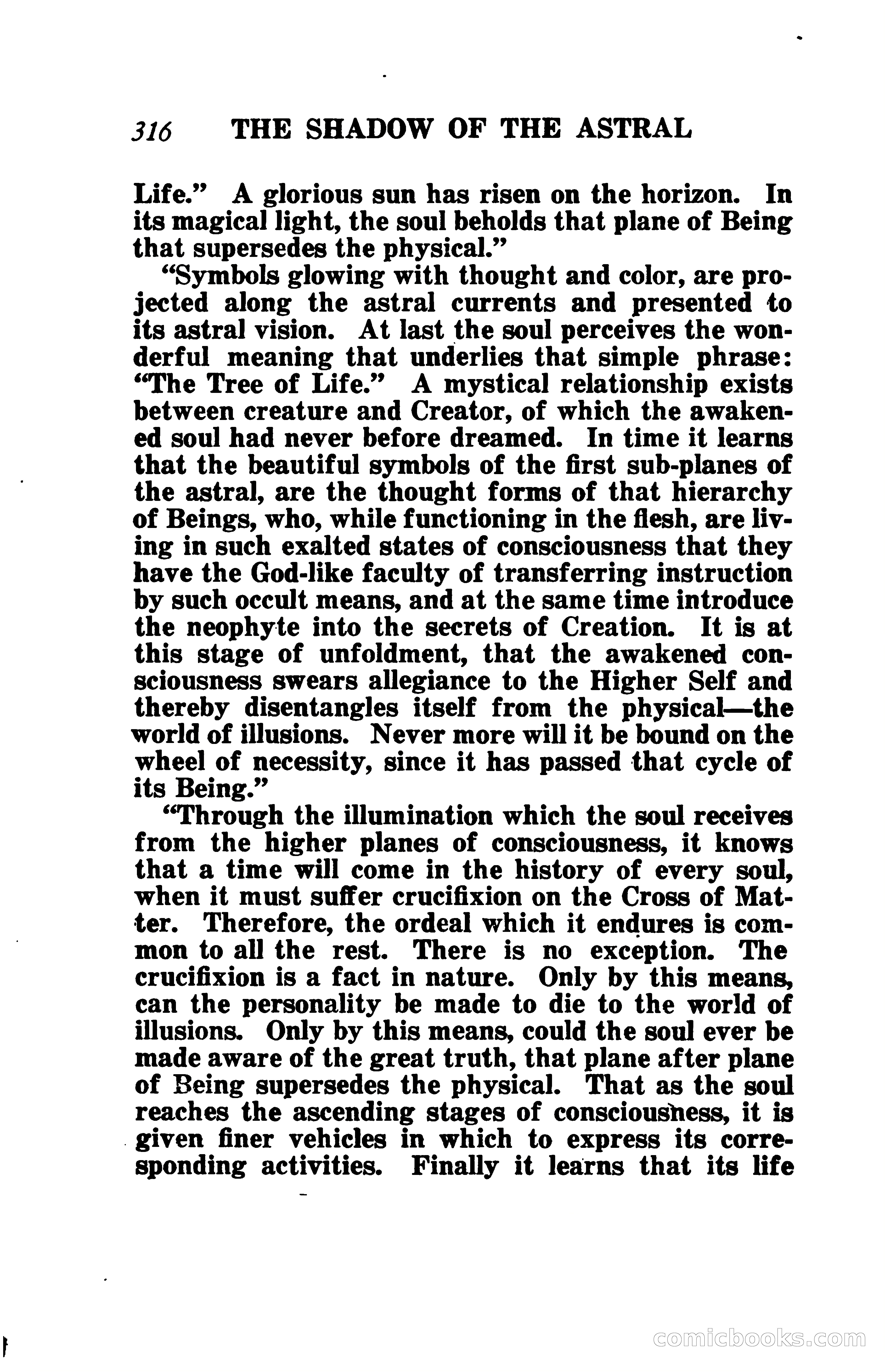 The Shadow of the Astral: A Mystic Narrative — page 323 of 345