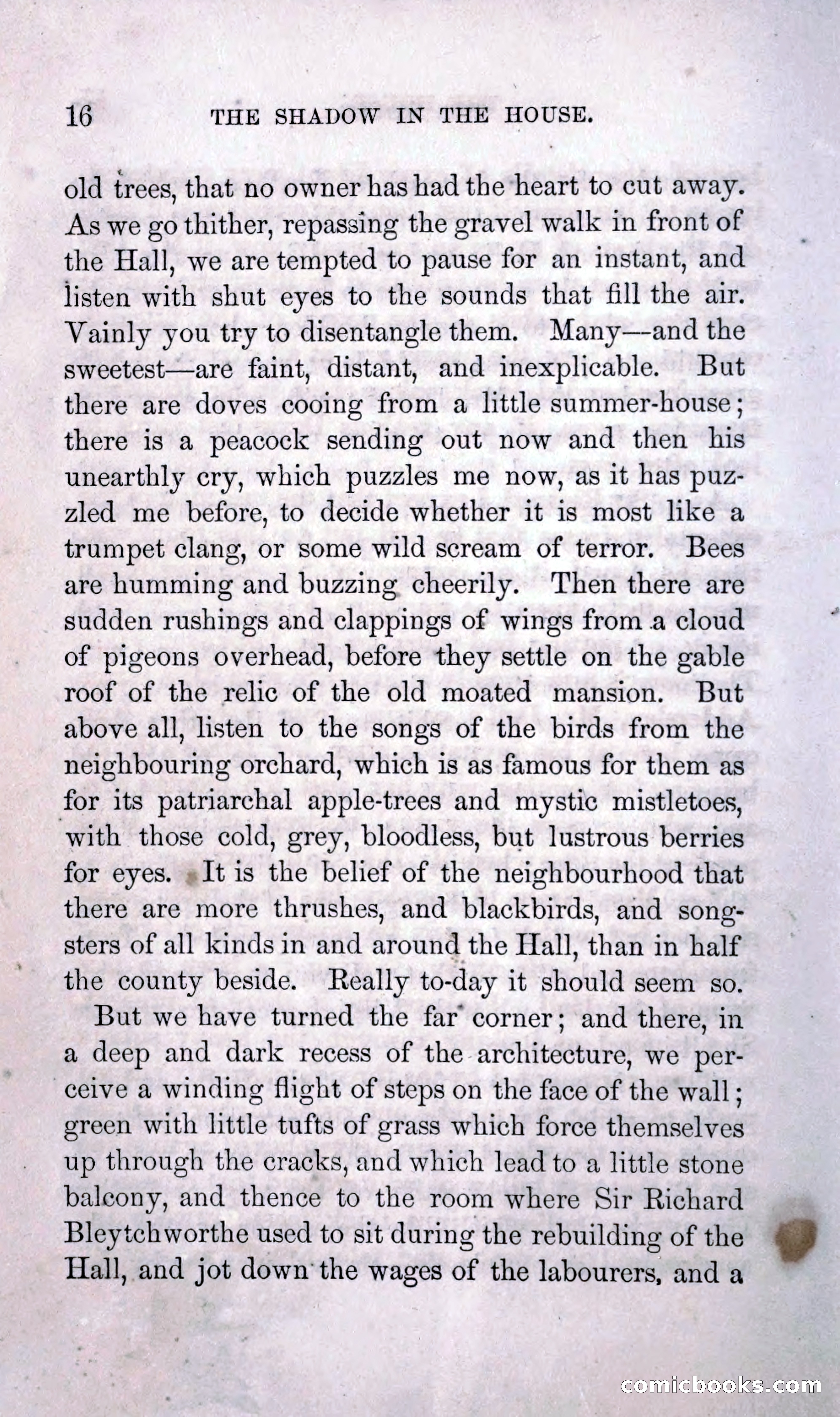The Shadow in the House — page 25 of 400