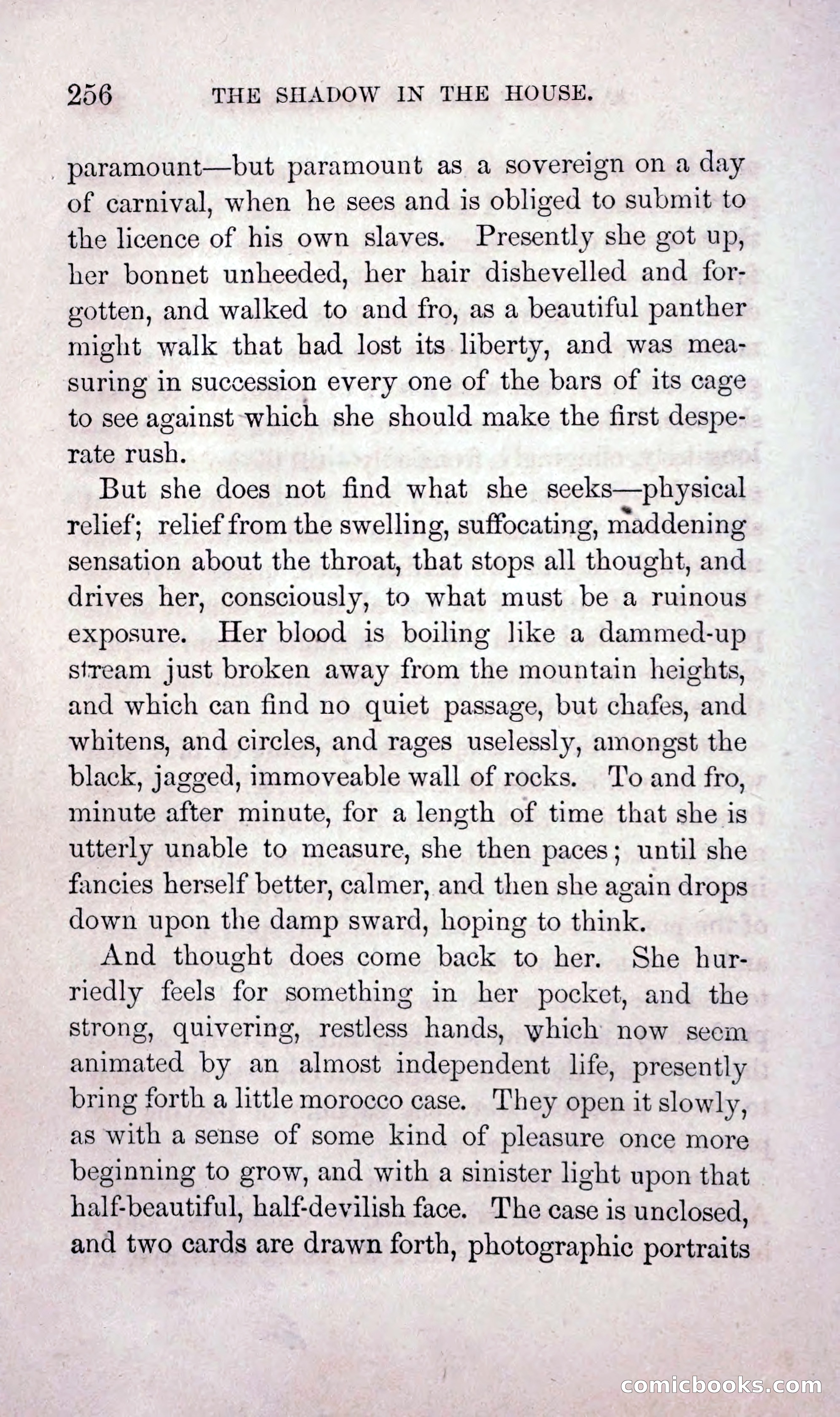 The Shadow in the House — page 265 of 400