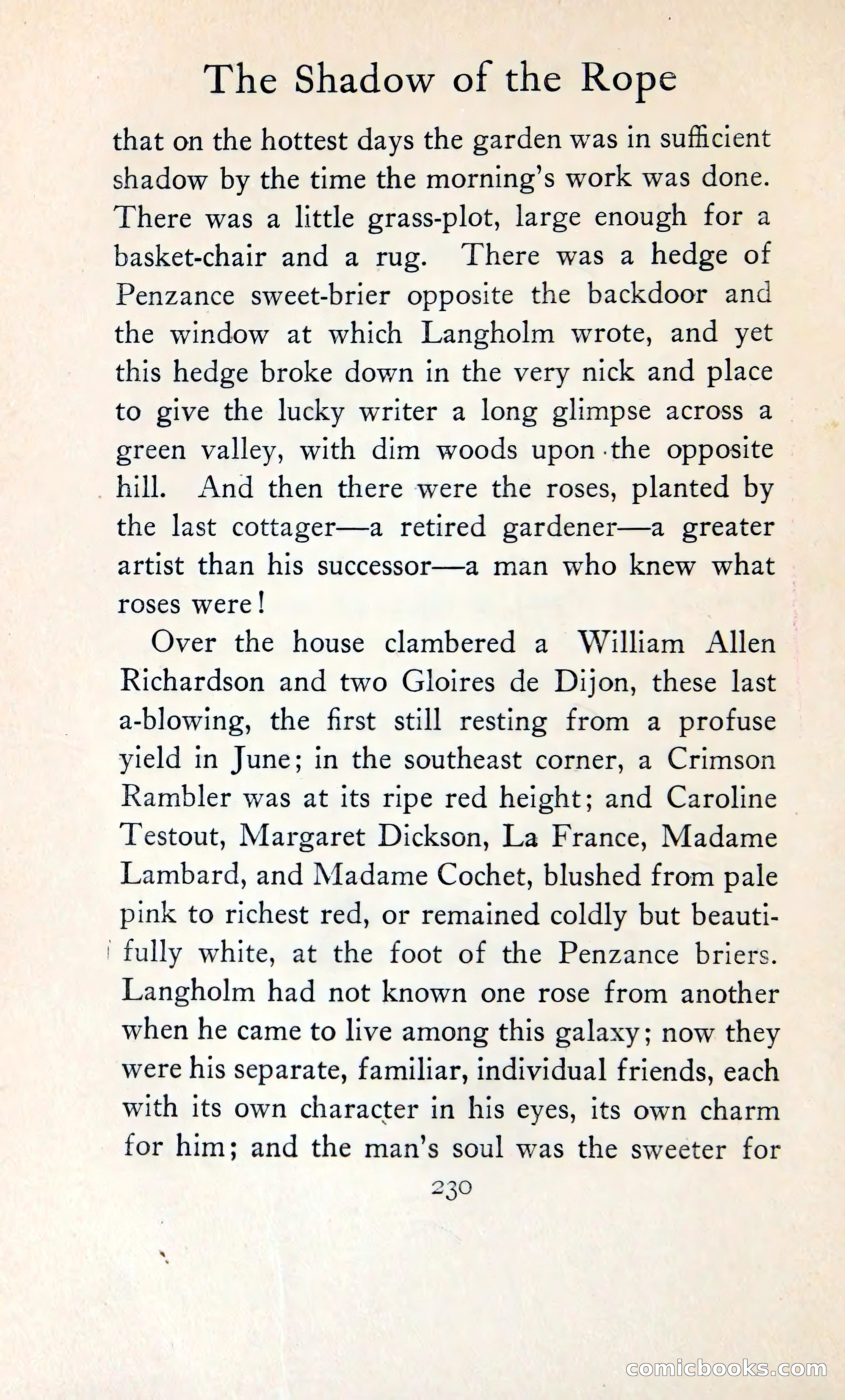 The Shadow of the Rope — page 249 of 400