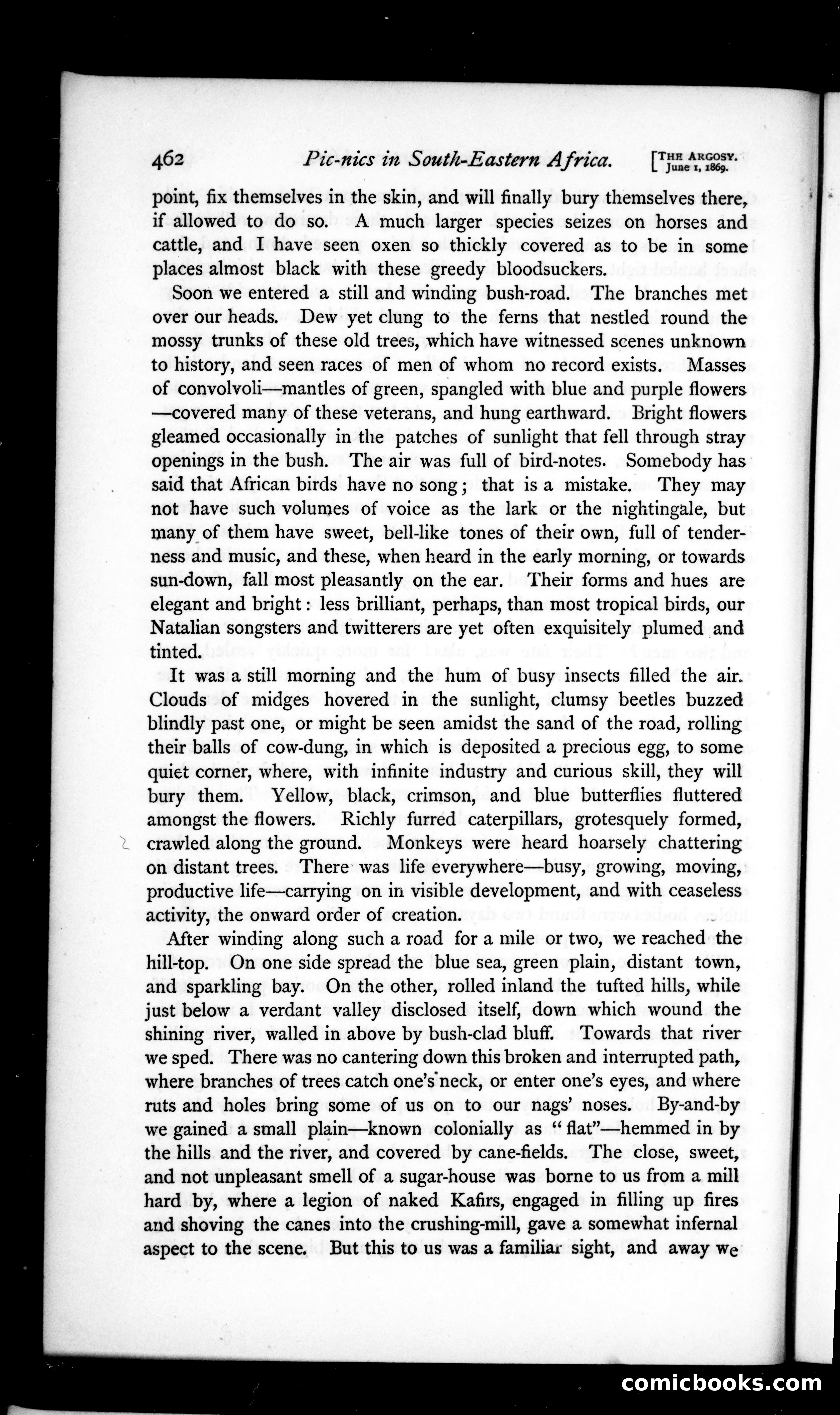 The Argosy, Vol. VII — page 64 of 79