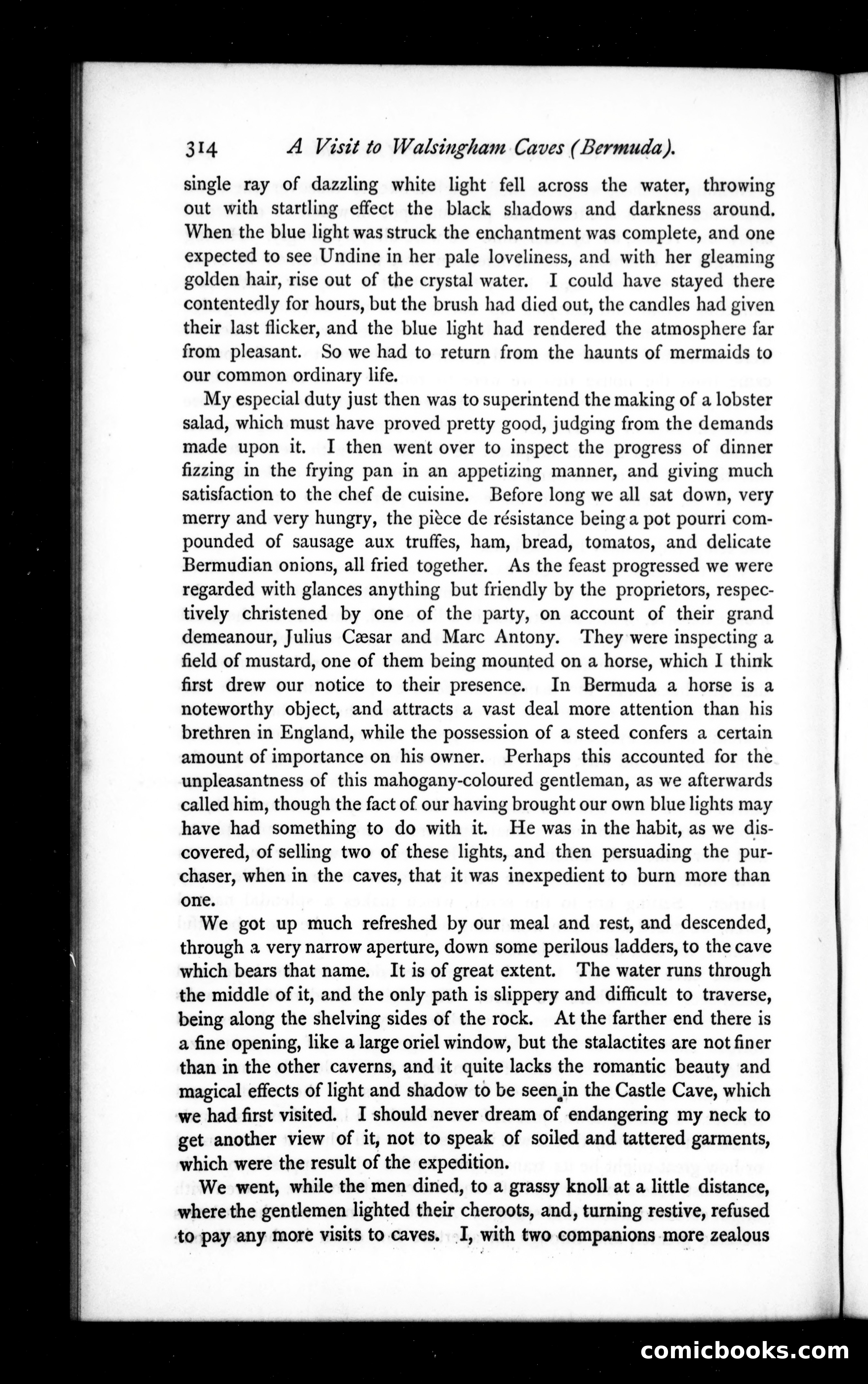 The Argosy, Vol. 12 — page 74 of 82