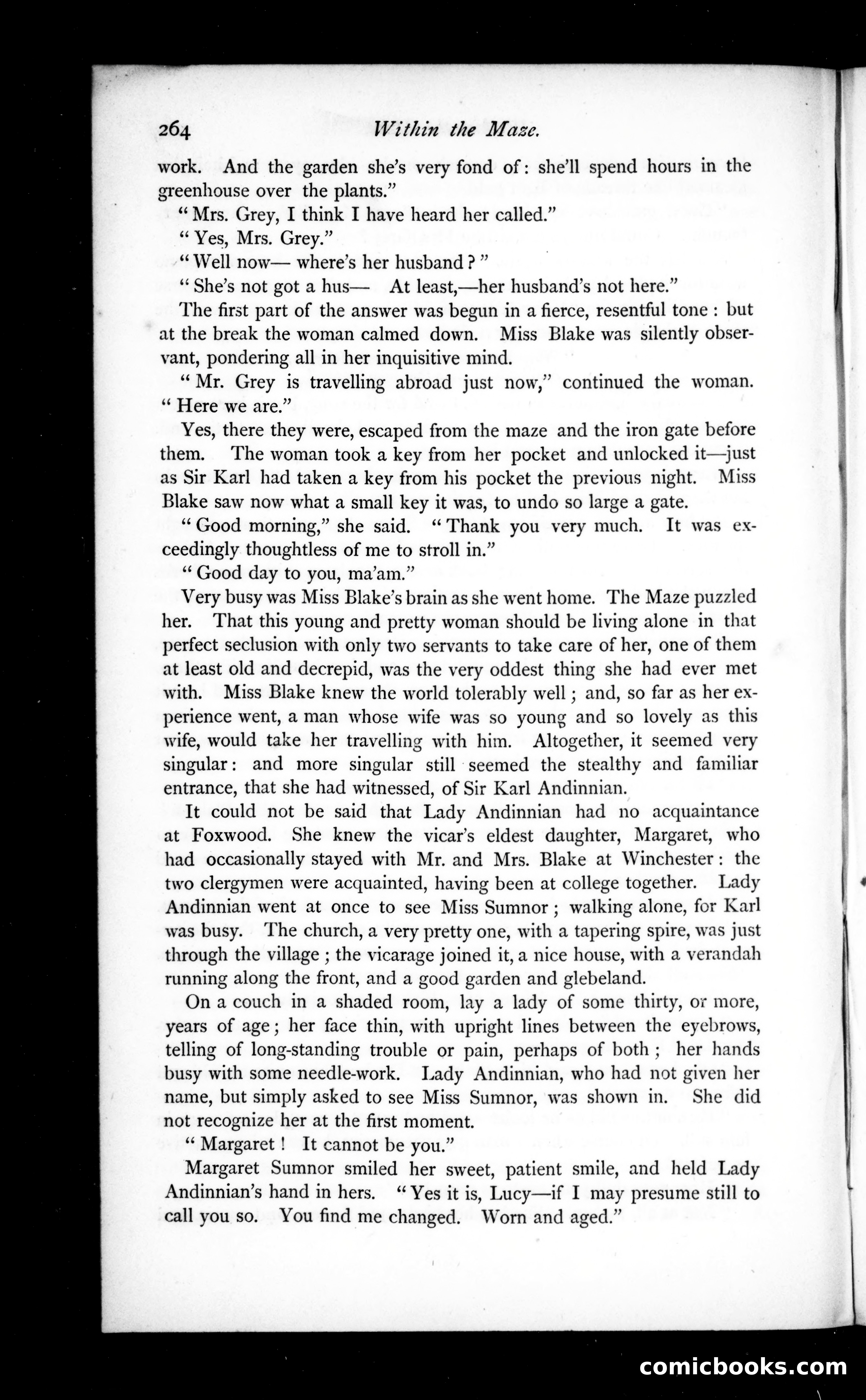 The Argosy, Vol. XIII — page 24 of 82