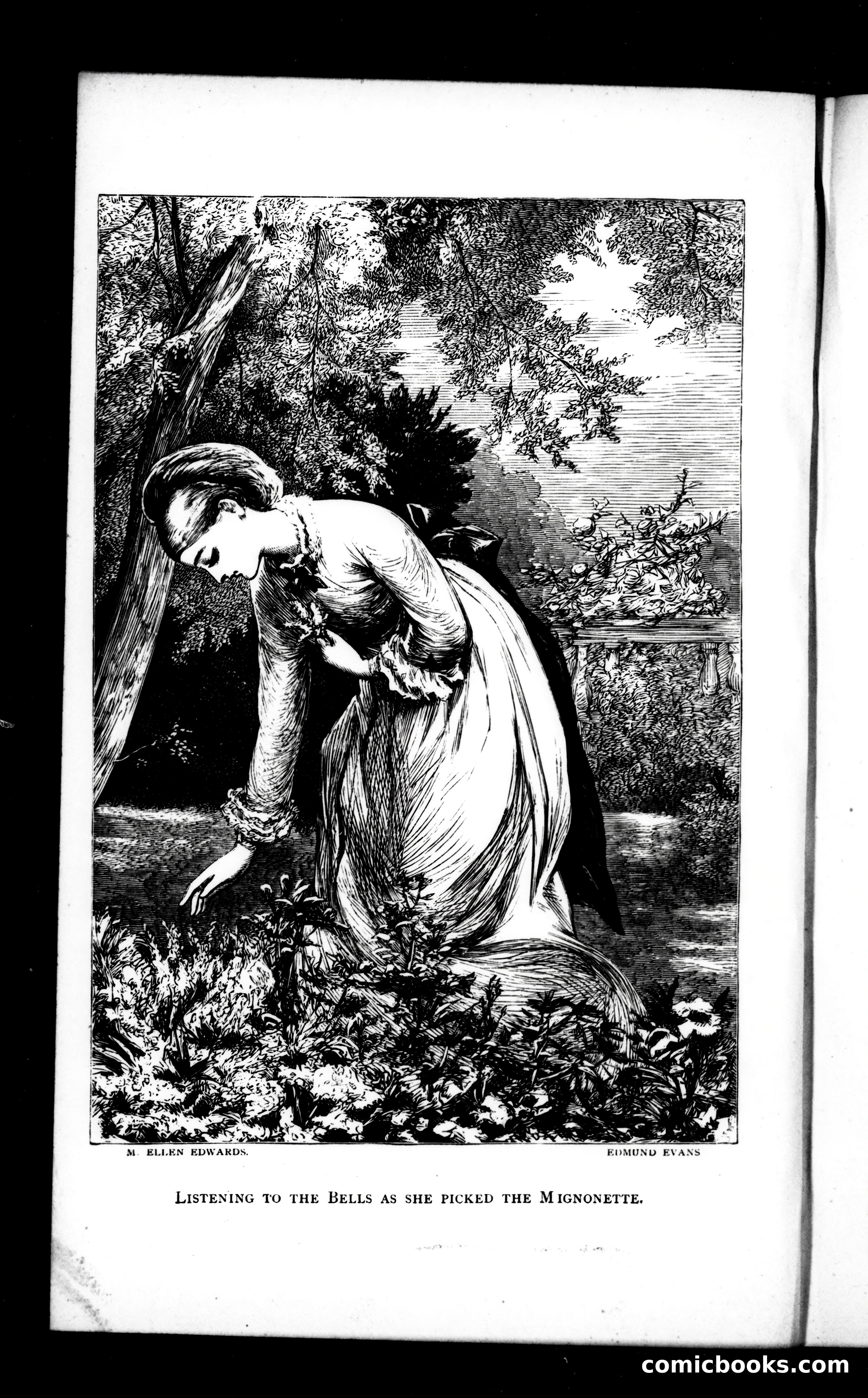The Argosy, Vol. XIV — page 82 of 82