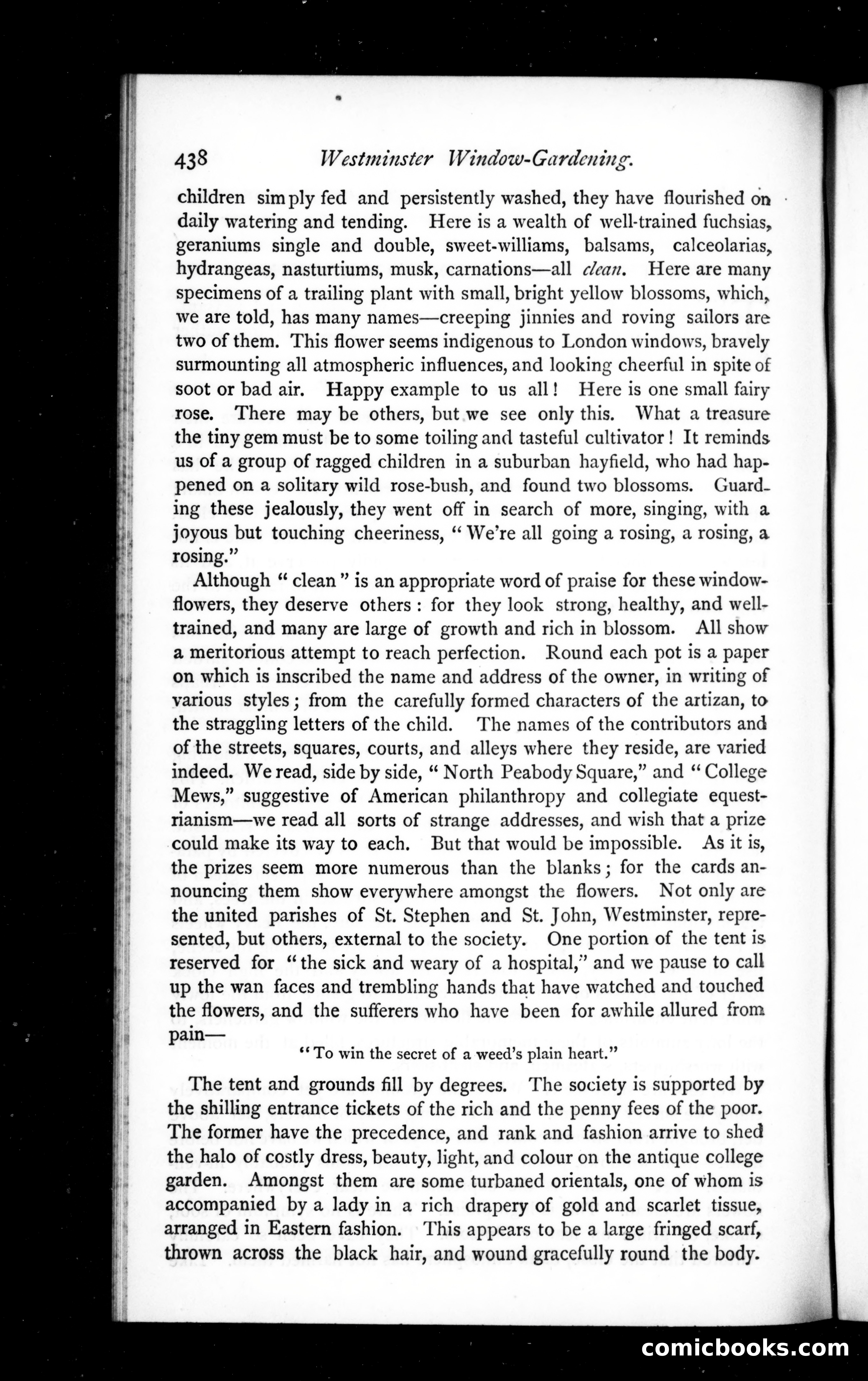The Argosy, Vol. XVI — page 38 of 119