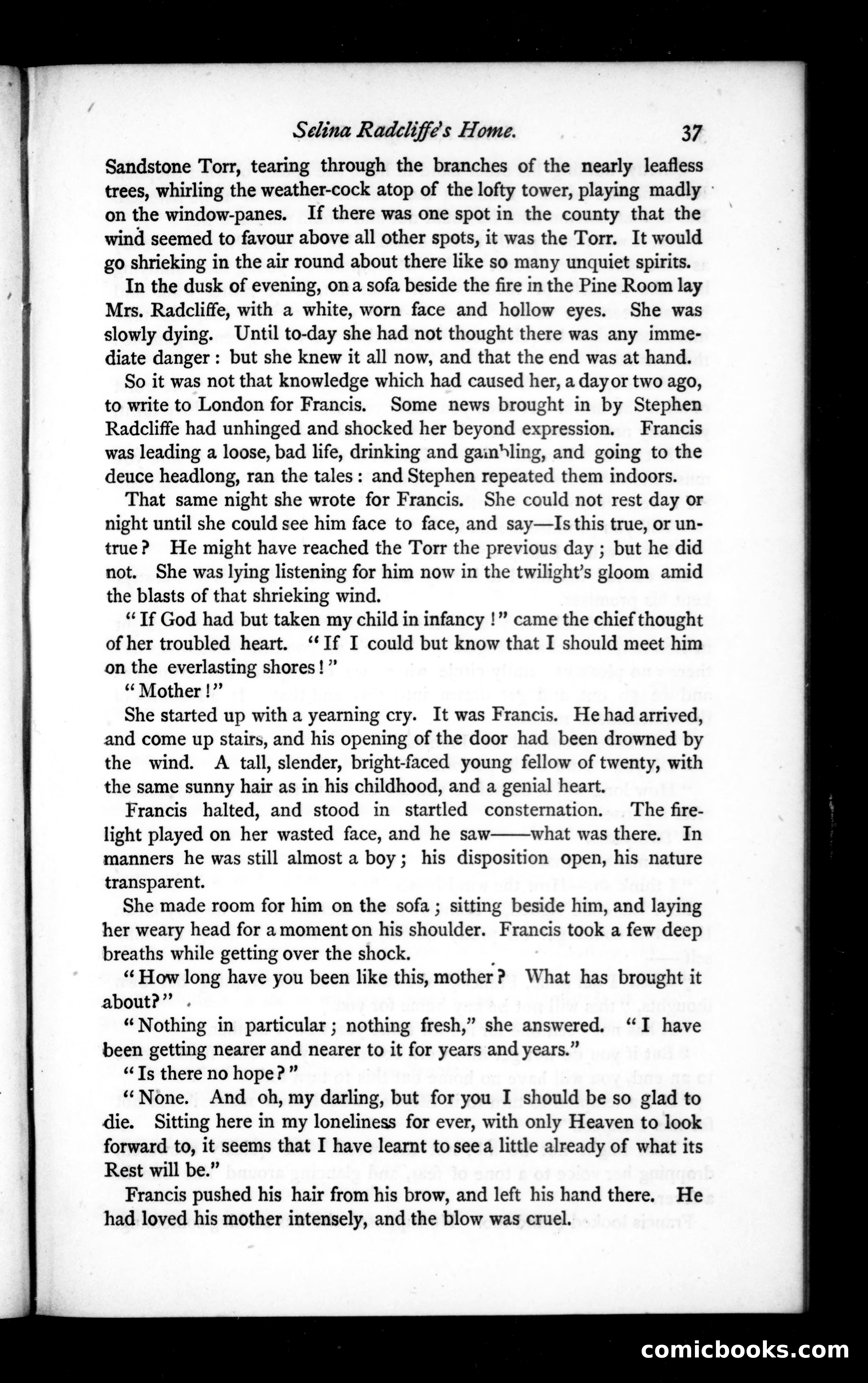 The Argosy, Vol. 17 — page 37 of 82