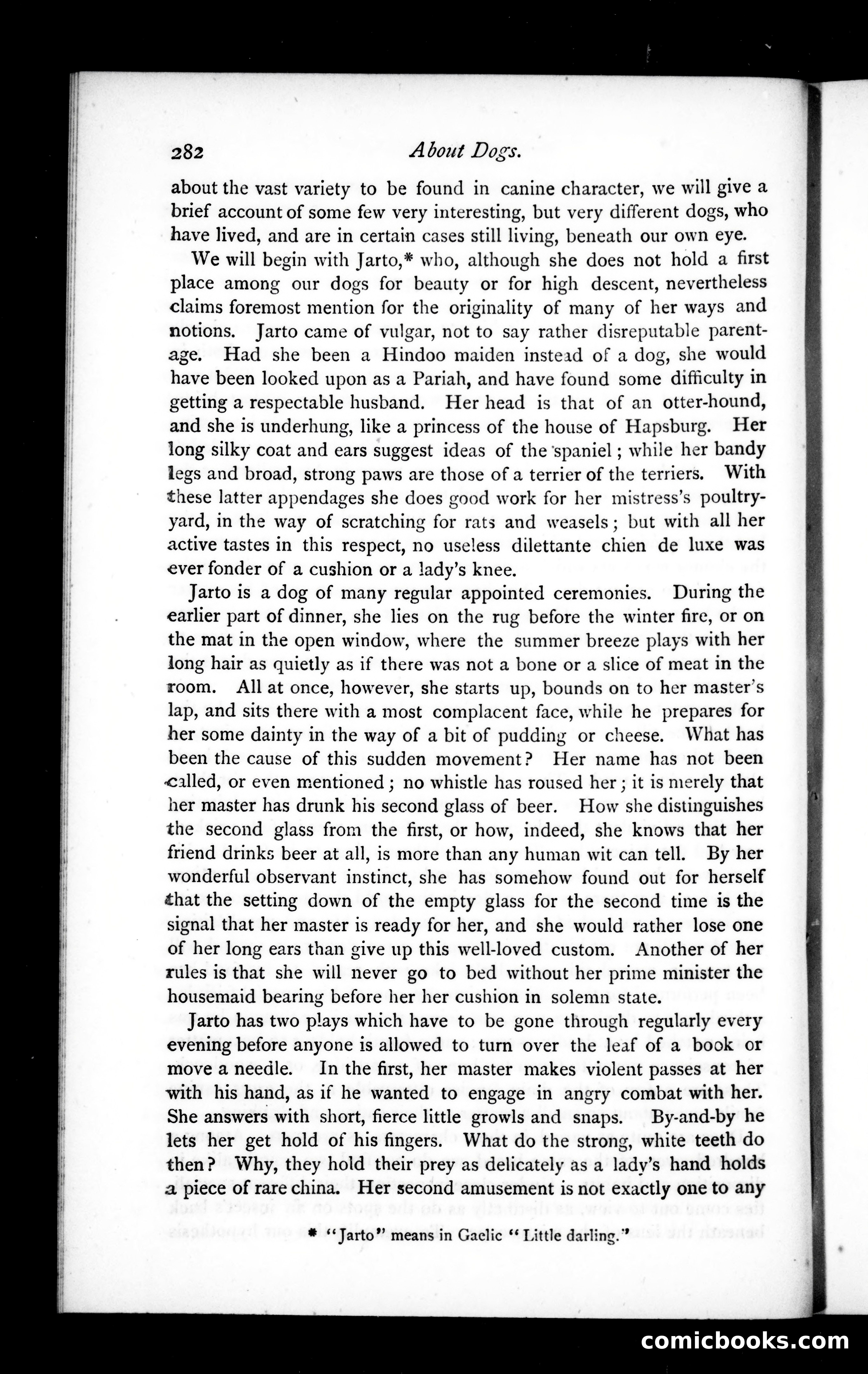 The Argosy, Vol. XIX — page 42 of 82