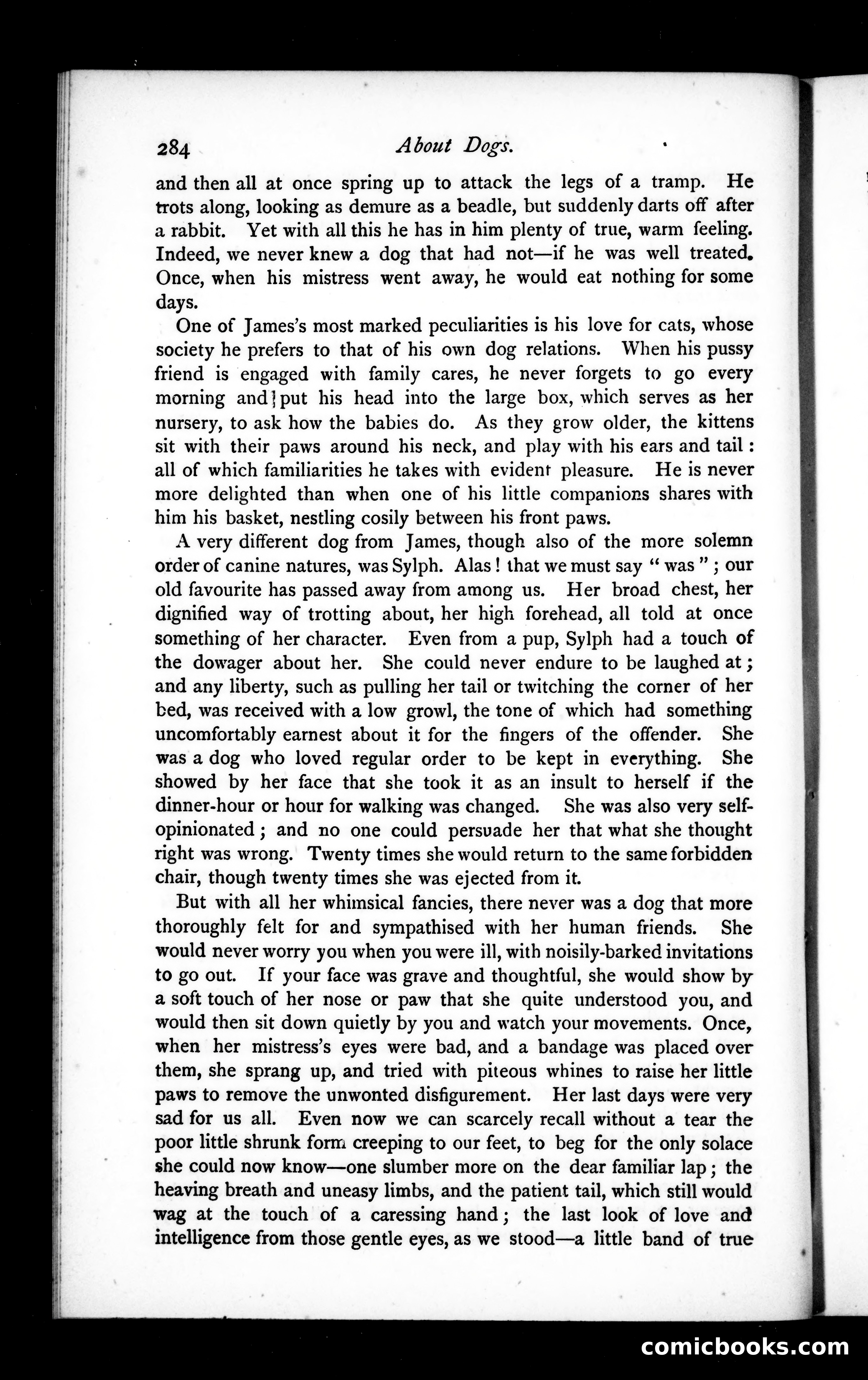 The Argosy, Vol. XIX — page 44 of 82