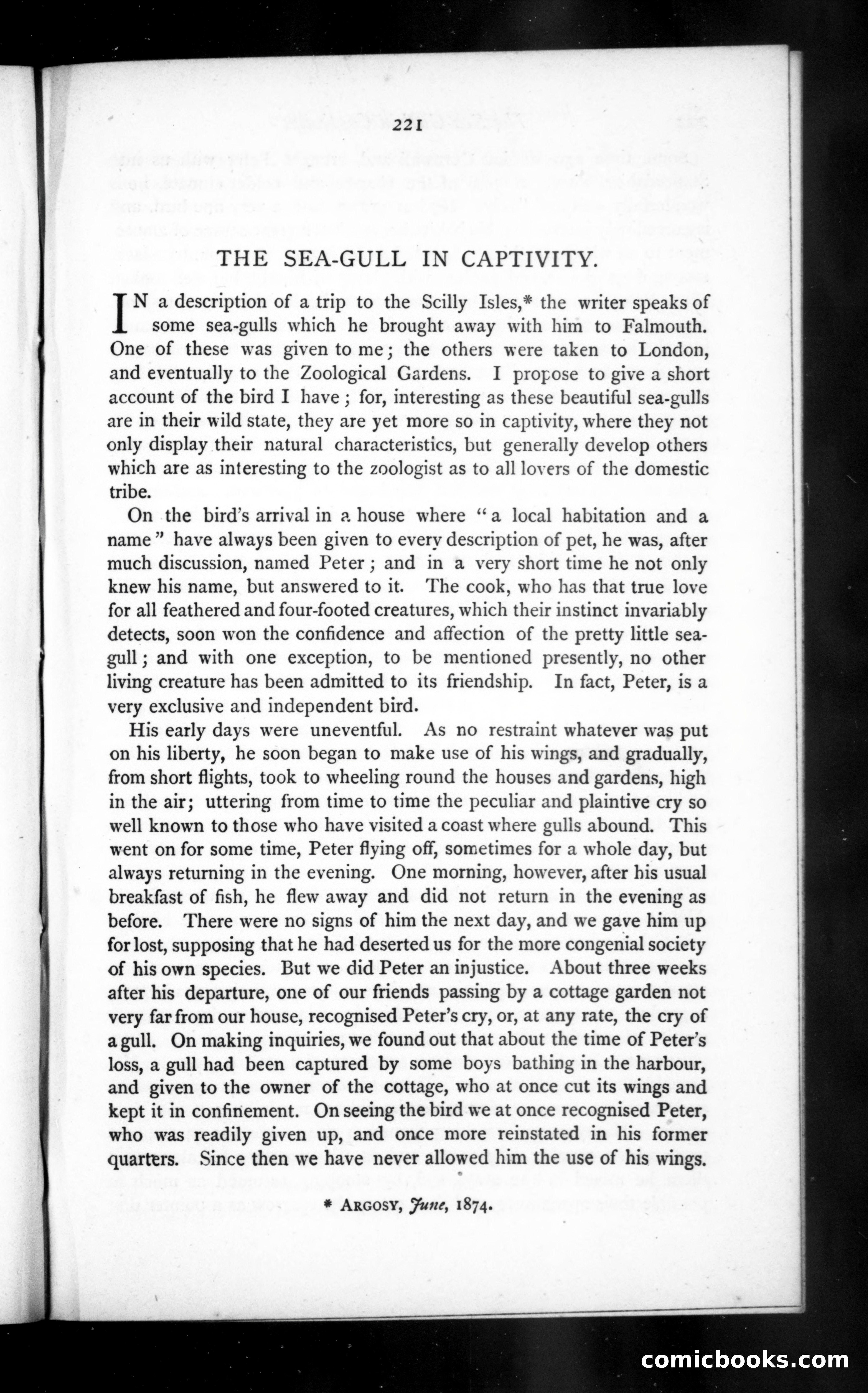 The Argosy, Vol. 20 — page 61 of 82