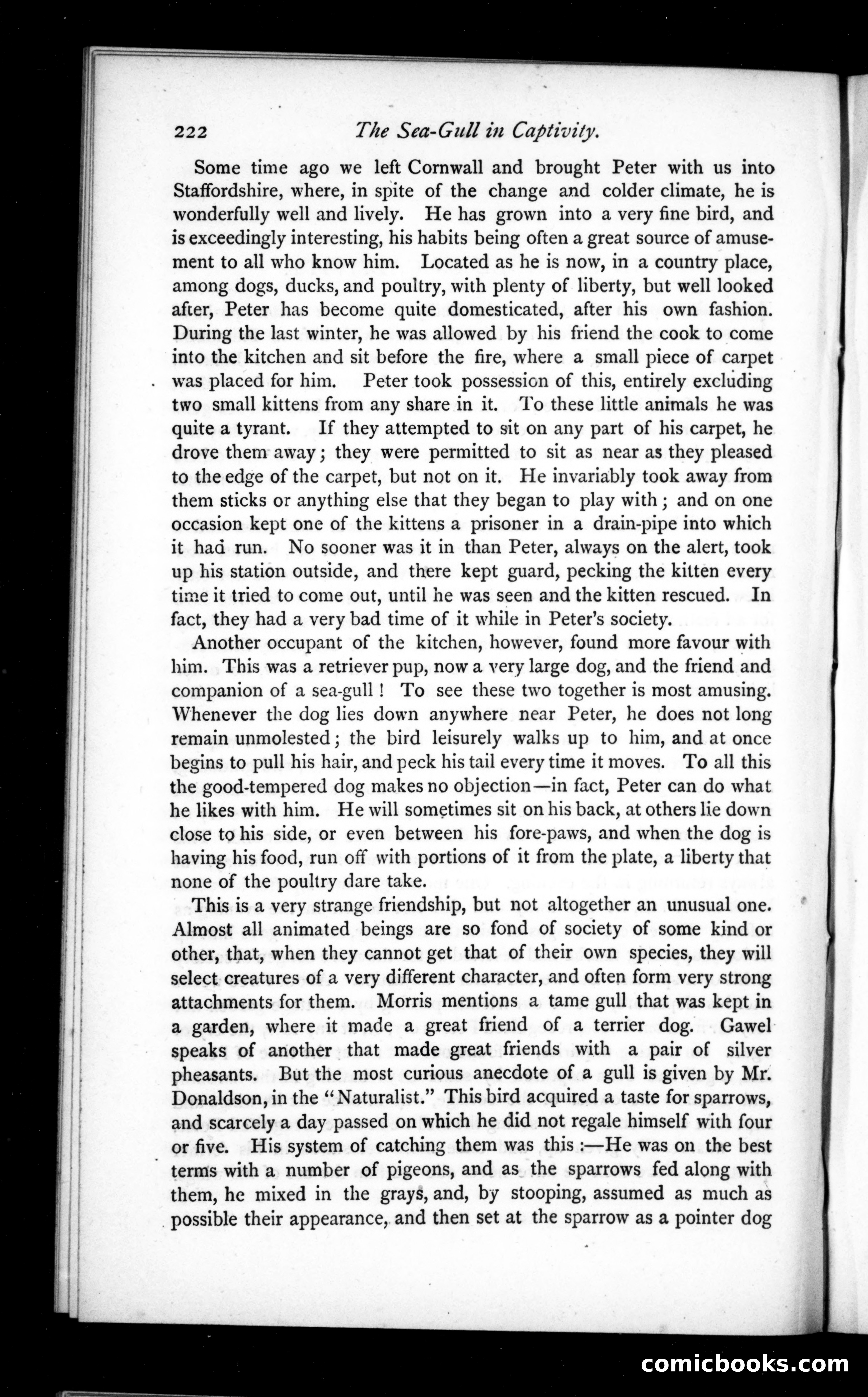 The Argosy, Vol. 20 — page 62 of 82