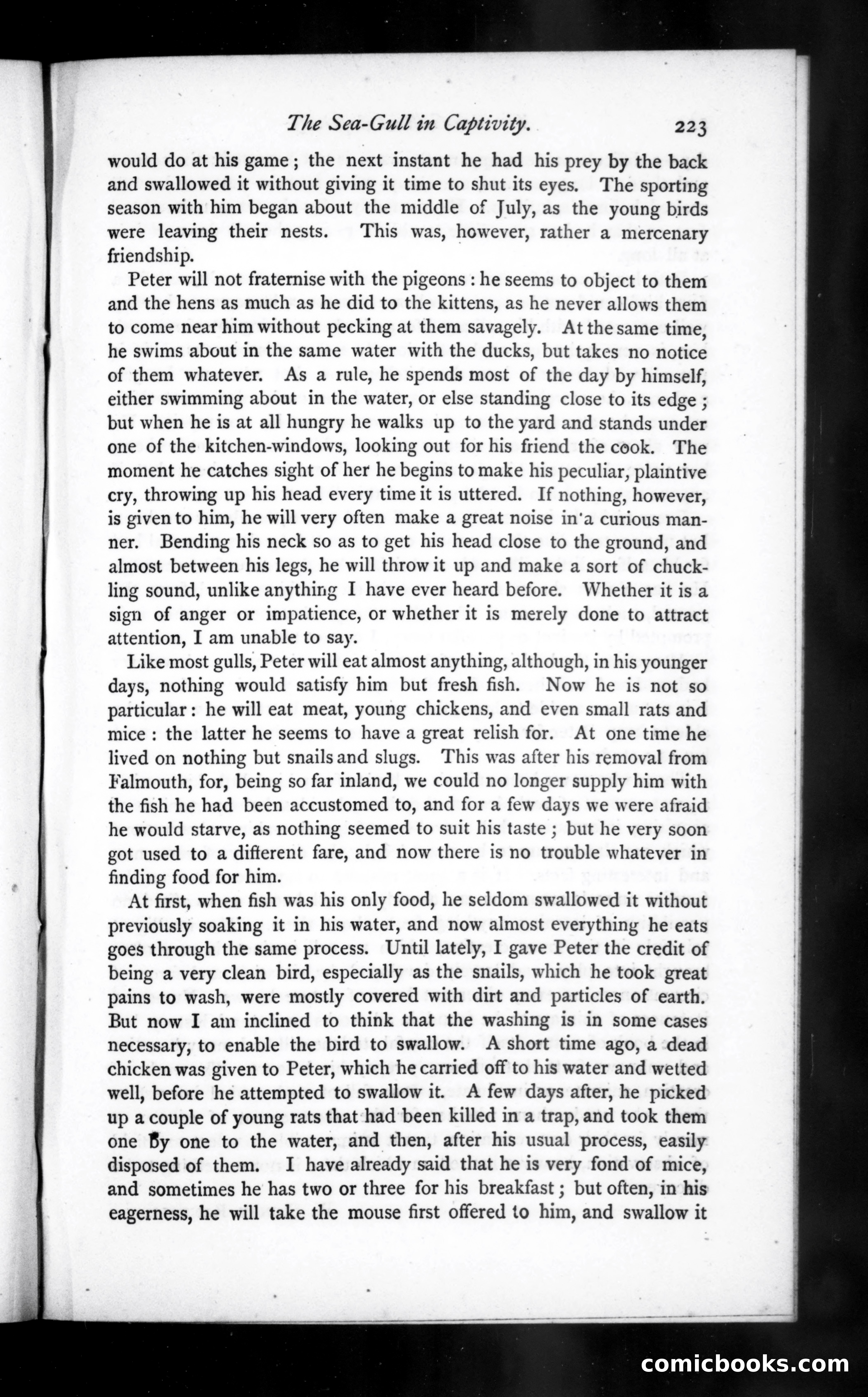 The Argosy, Vol. 20 — page 63 of 82