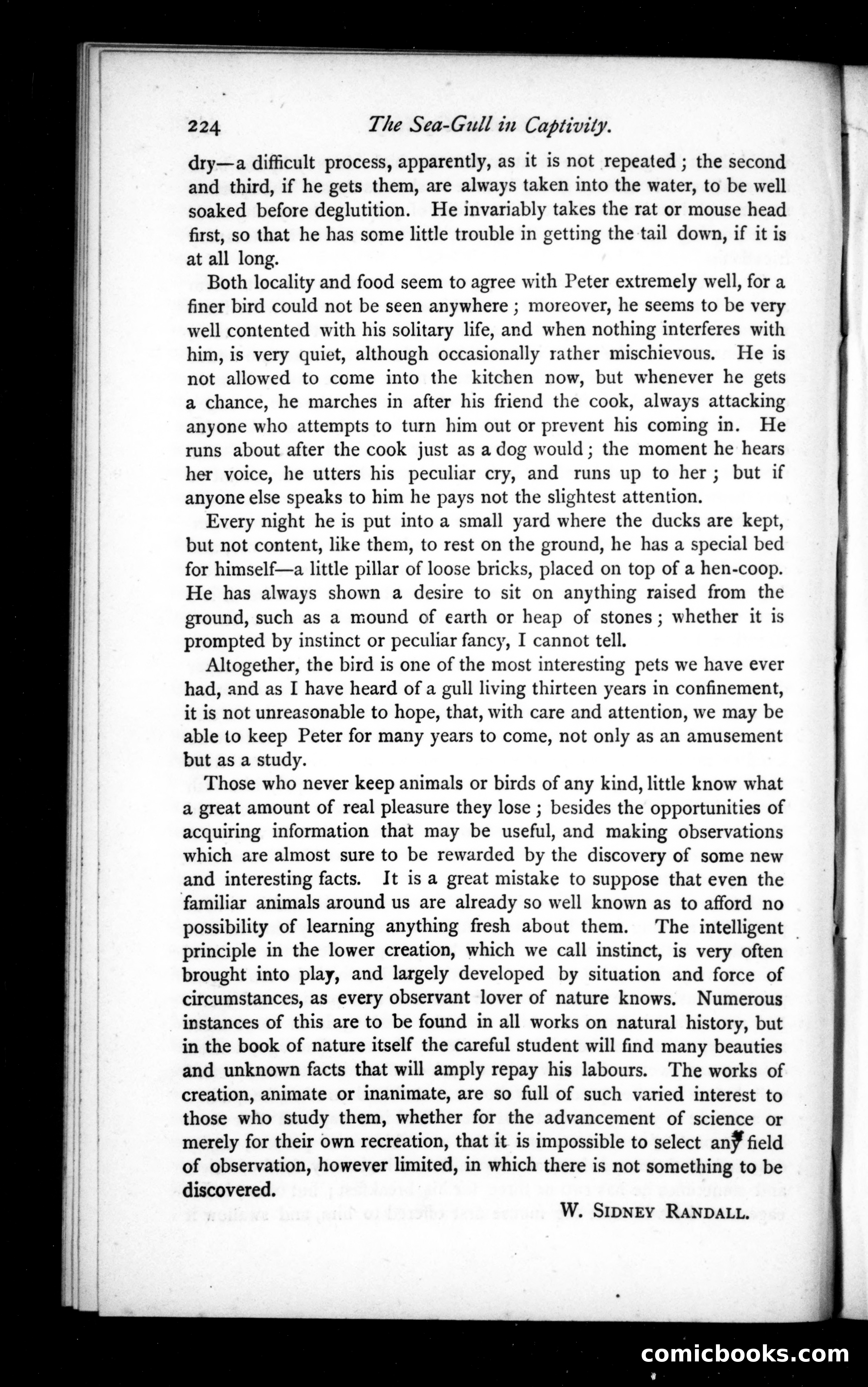 The Argosy, Vol. 20 — page 64 of 82