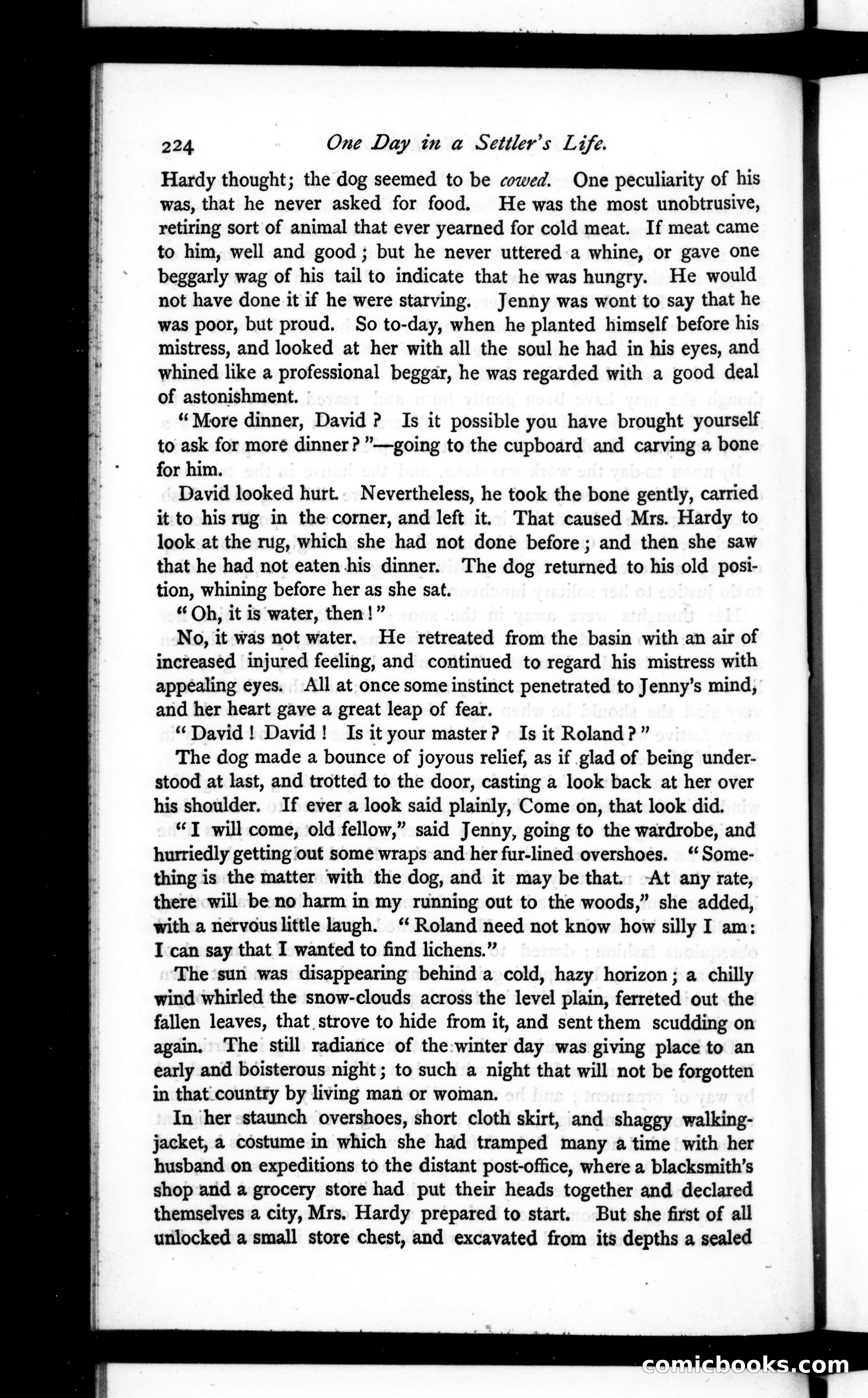 The Argosy, Vol. 21 — page 64 of 82