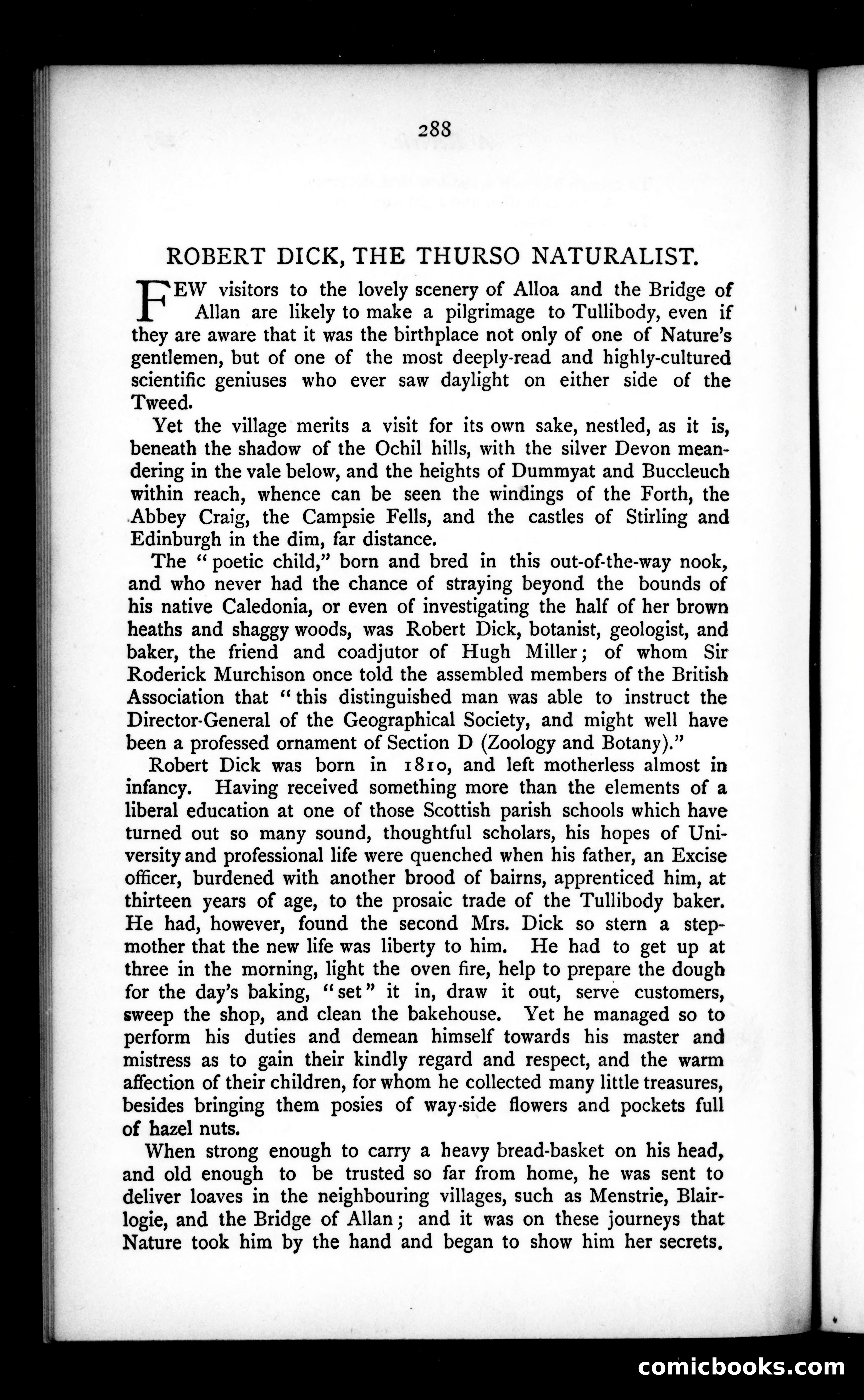 The Argosy, Vol. 27 — page 46 of 80