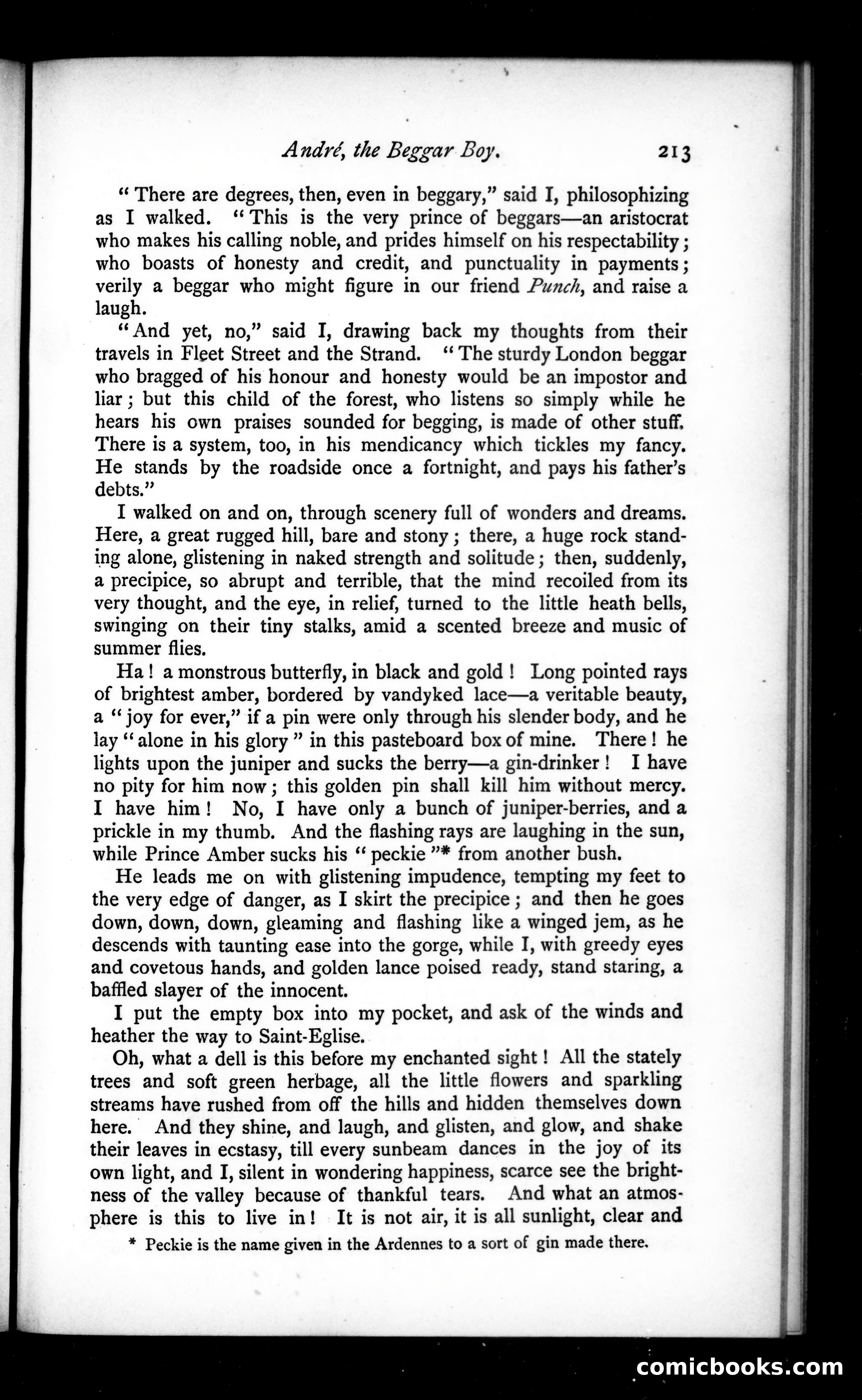 The Argosy, Vol. 28 — page 53 of 82