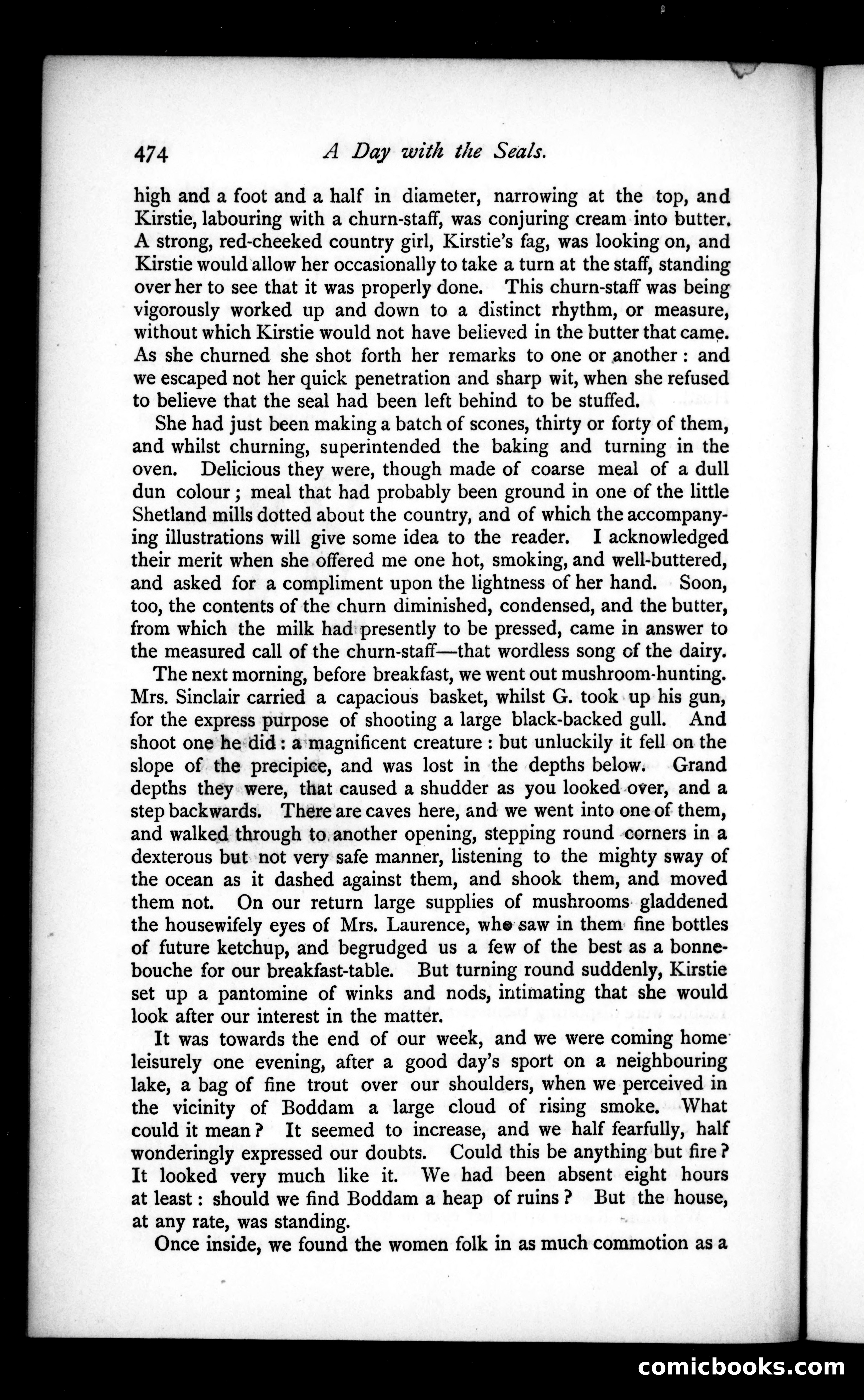 The Argosy, Vol. 28 — page 74 of 117
